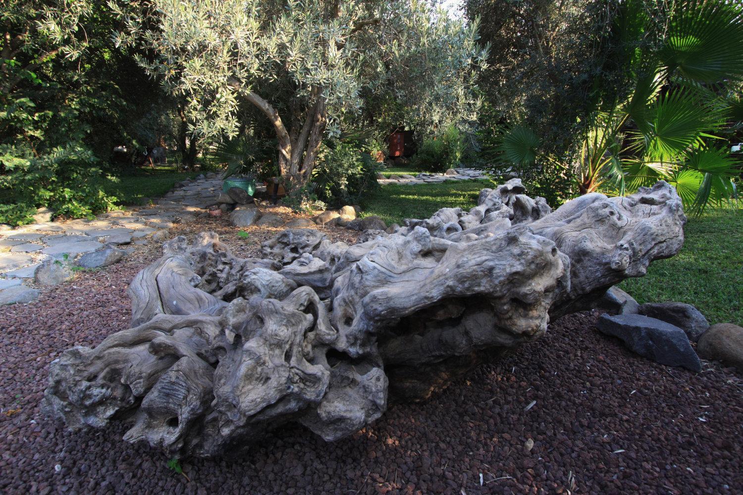 Photo 20