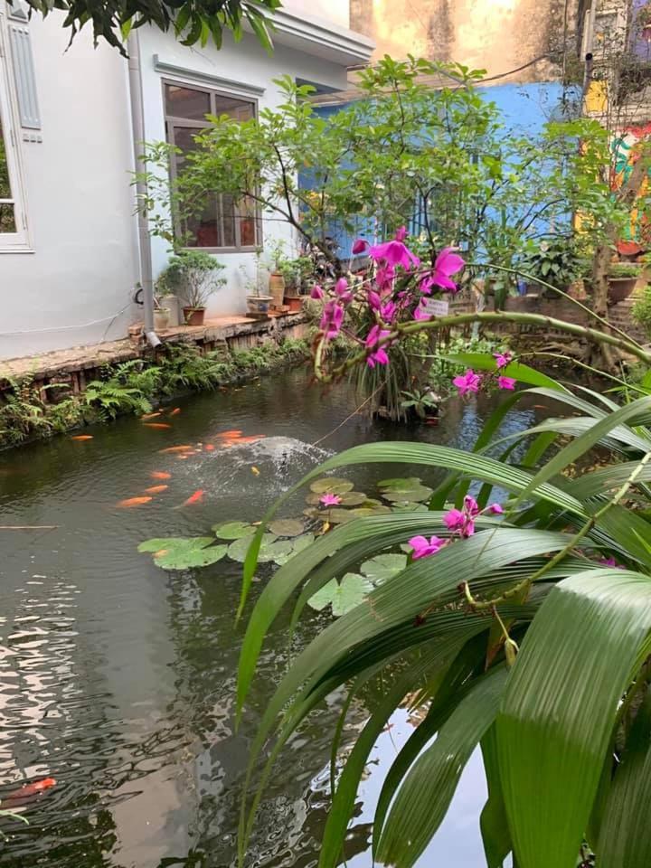 We Have Moved! Please search for Madame Binh Luxury Homestay 5 Yen Ninh