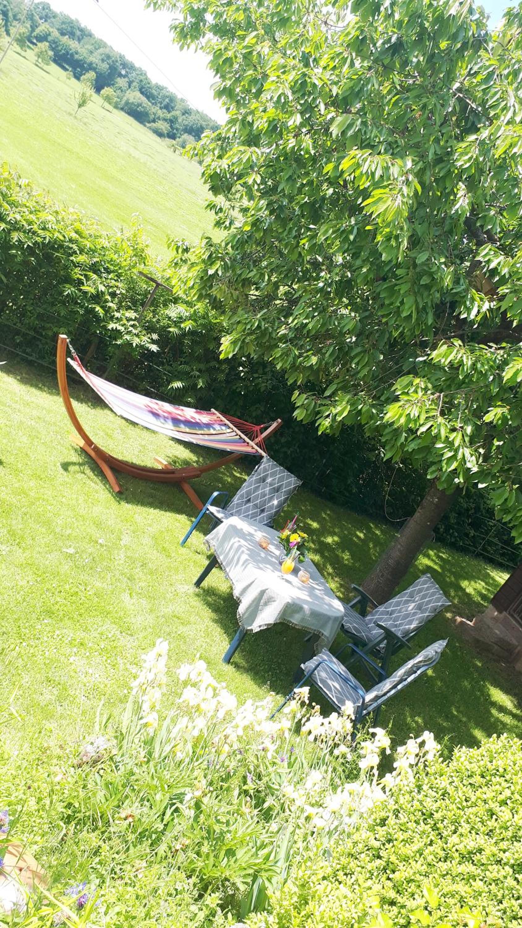 Privatzimmer mit Gemeinschaftsbad - Zur Fliegerbank in der Rhon - Property Image 9