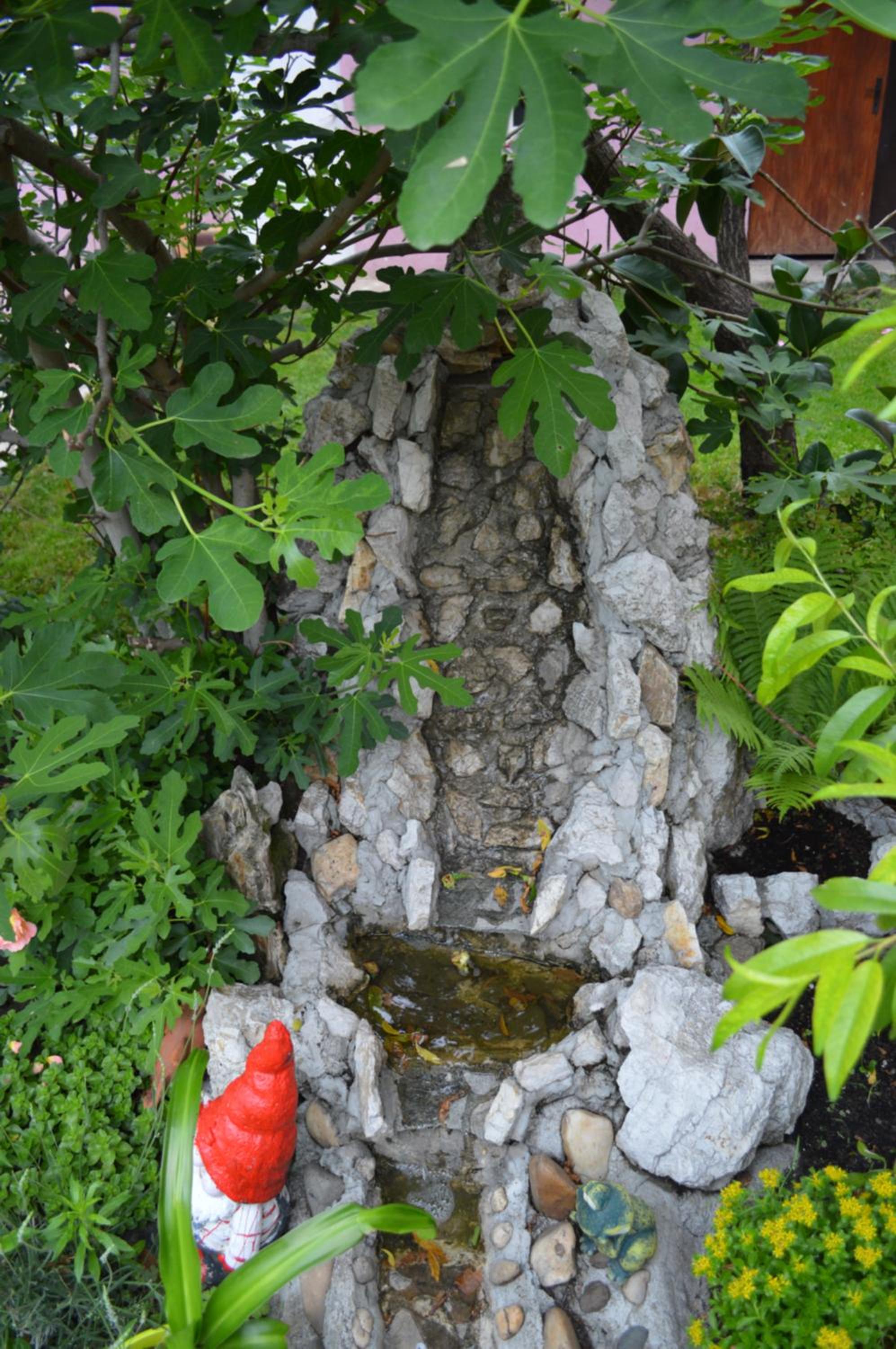 Photo 52