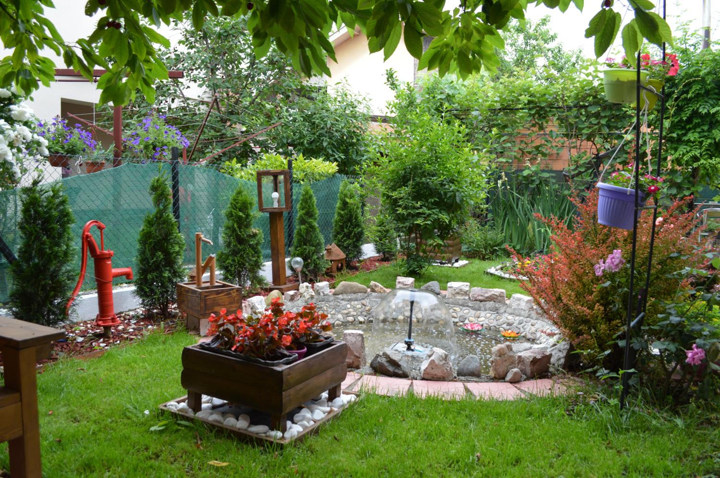 Photo 53