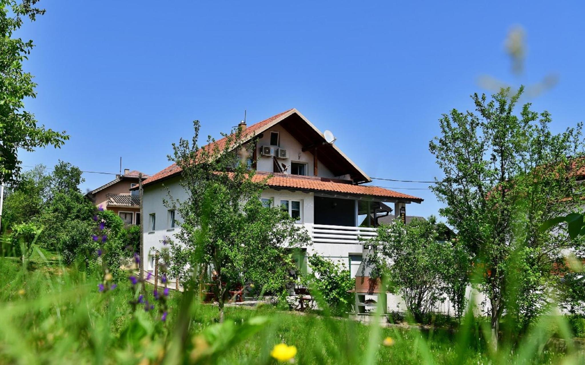 House Bićanić view 2