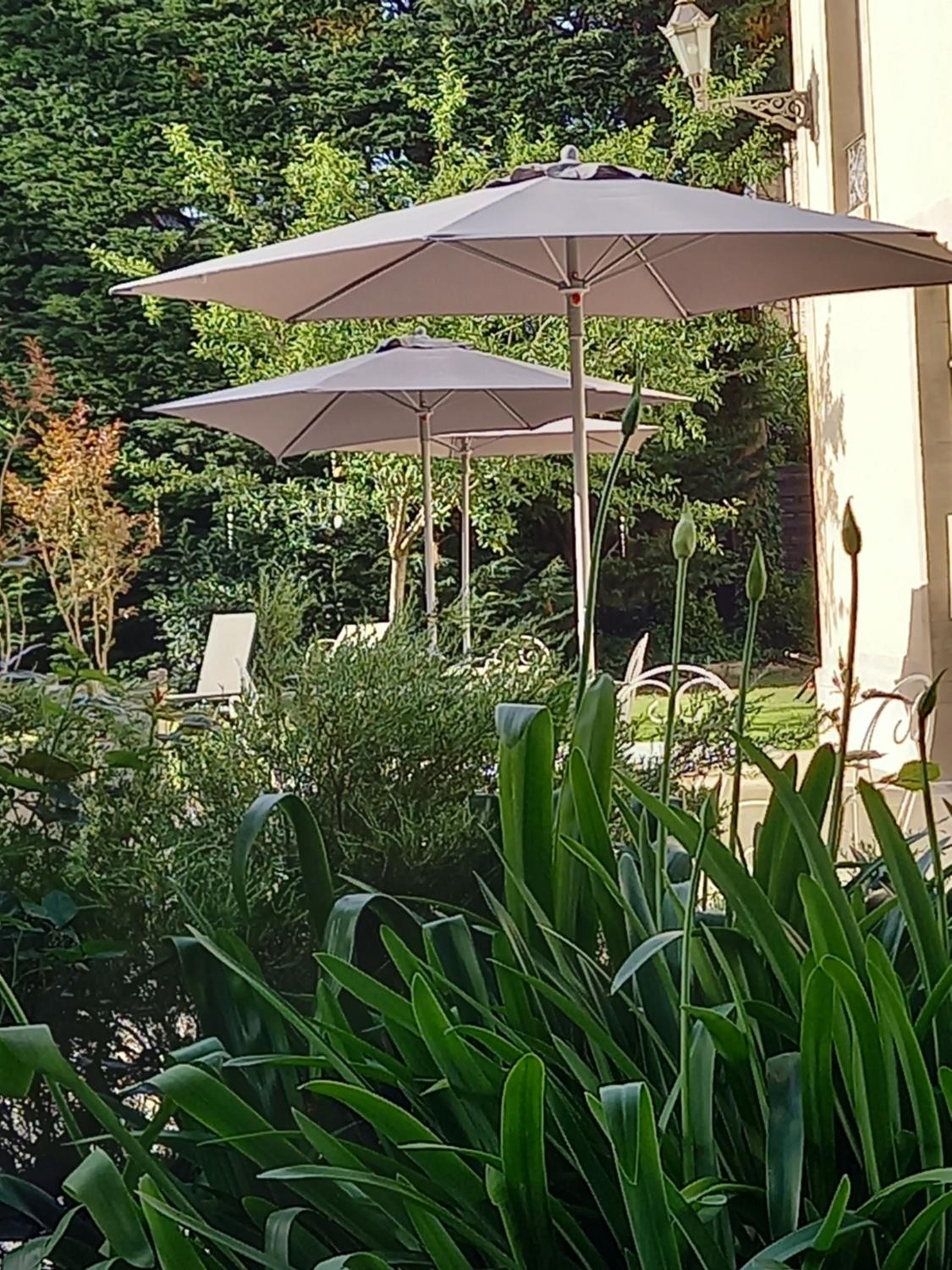 Le Petit Matin view 3