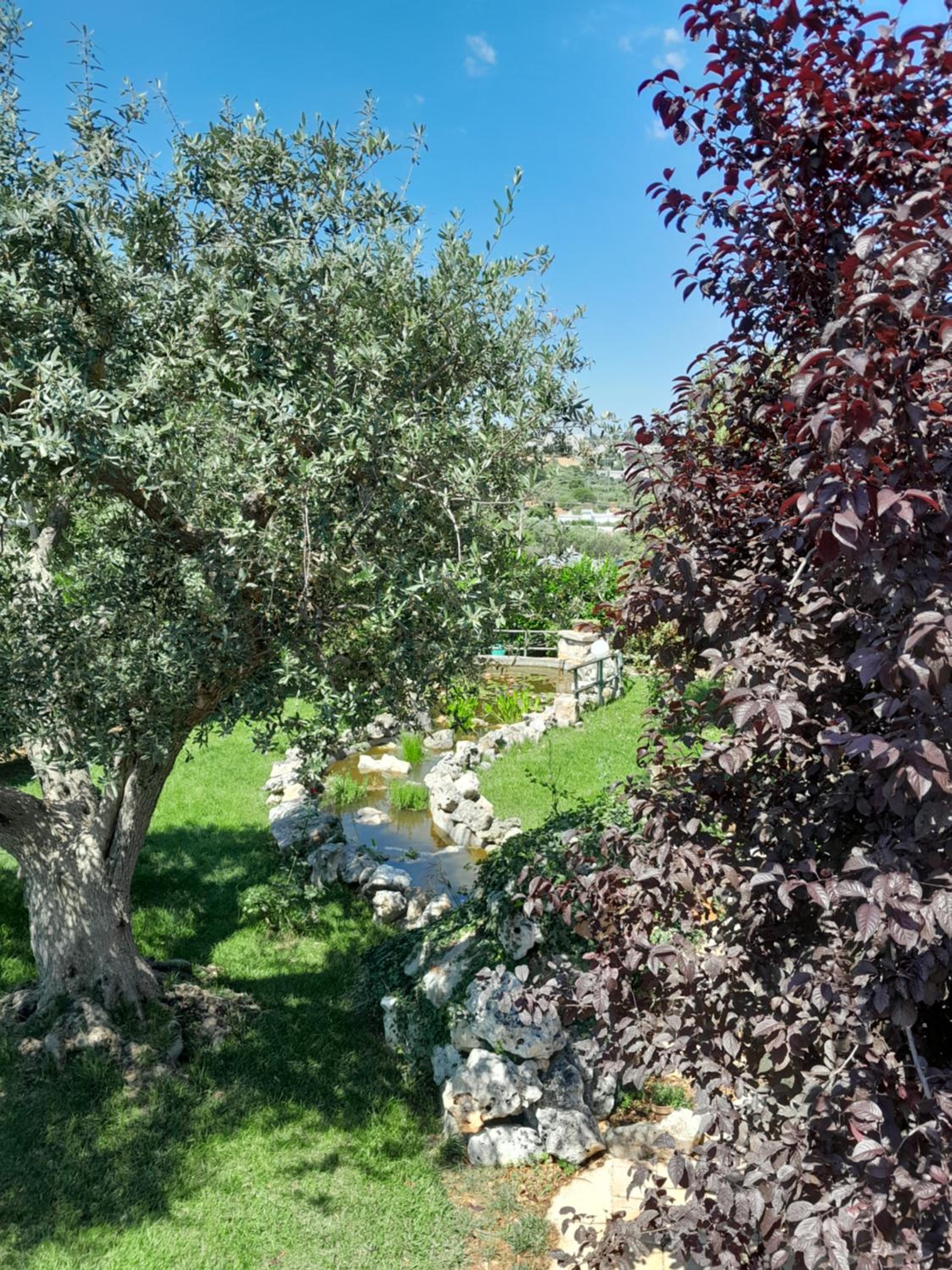 B&B La Rosa dei Trulli Alberobello