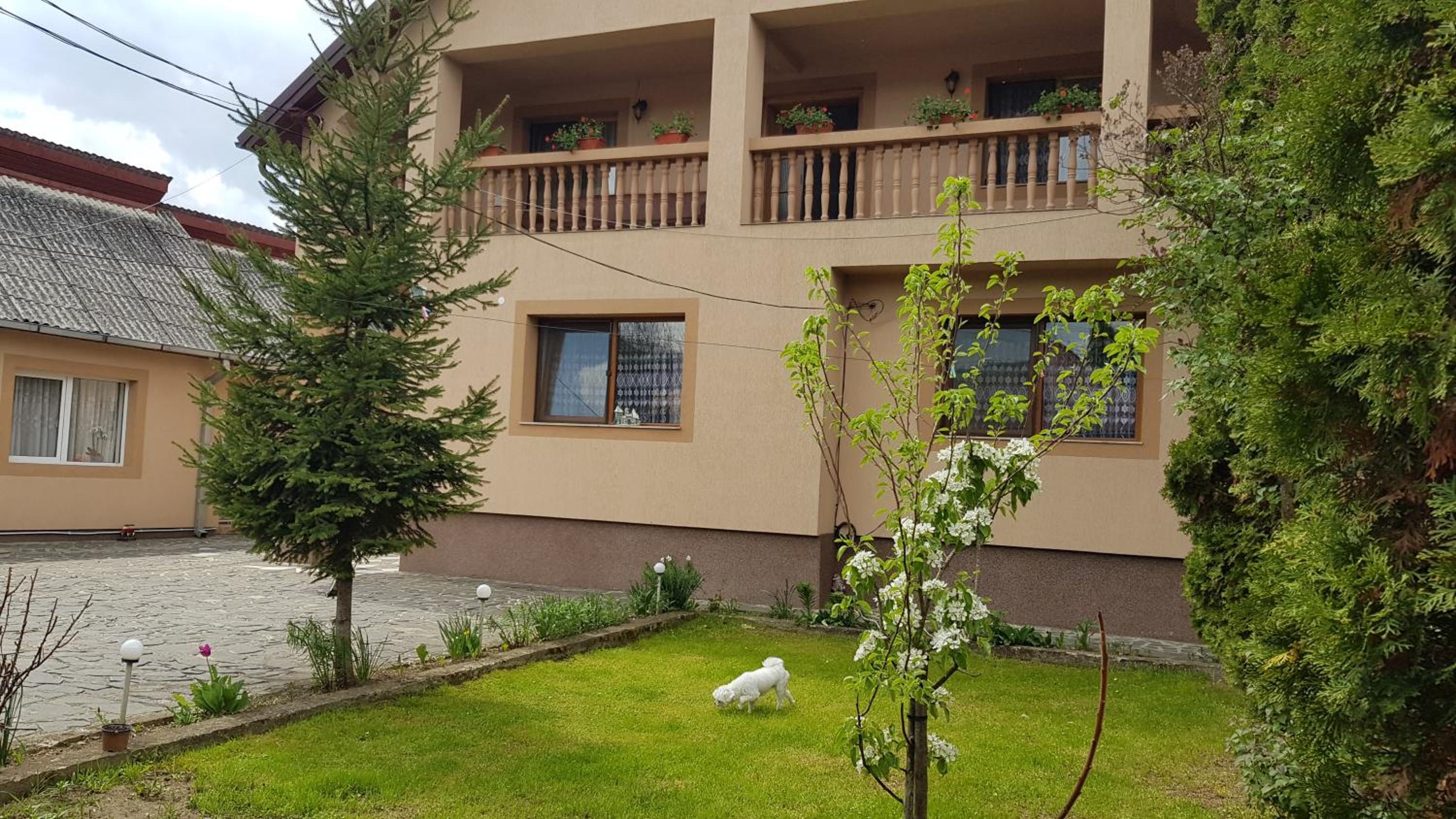 Pensiunea Todorica Sergiu view 4