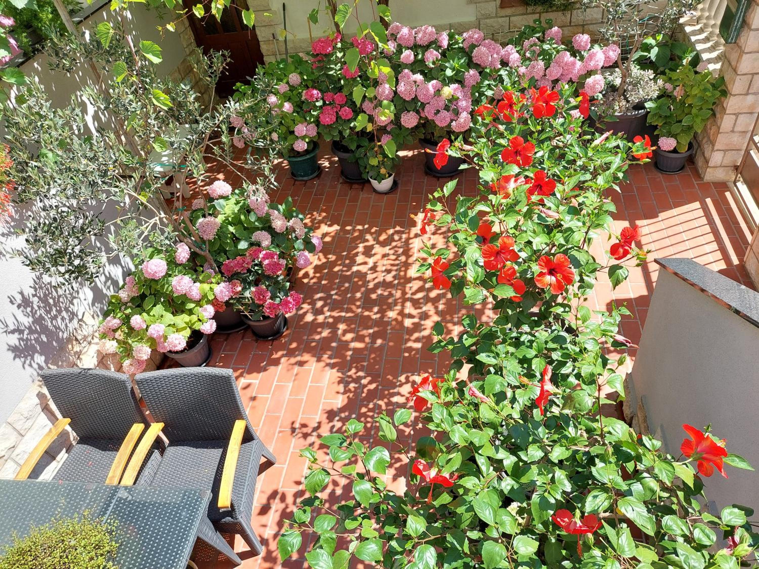 Photo 20