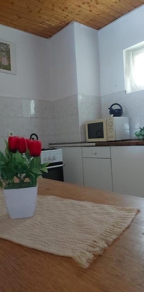 Kéktúrás-Tóra Nyíló Badacsonyi privát bérlemény