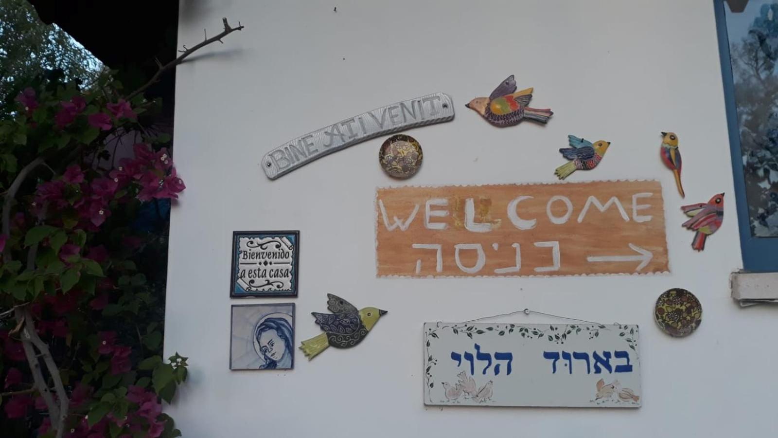 Barud Gedera Israel
