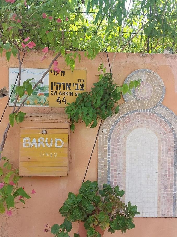 Barud Gedera Israel