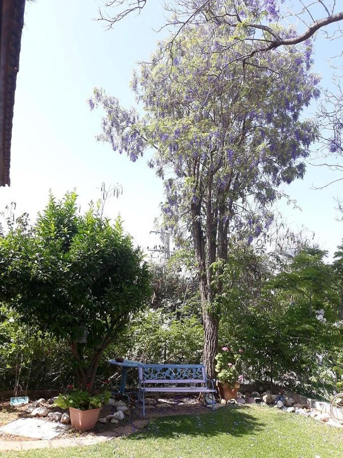 Barud Gedera Israel