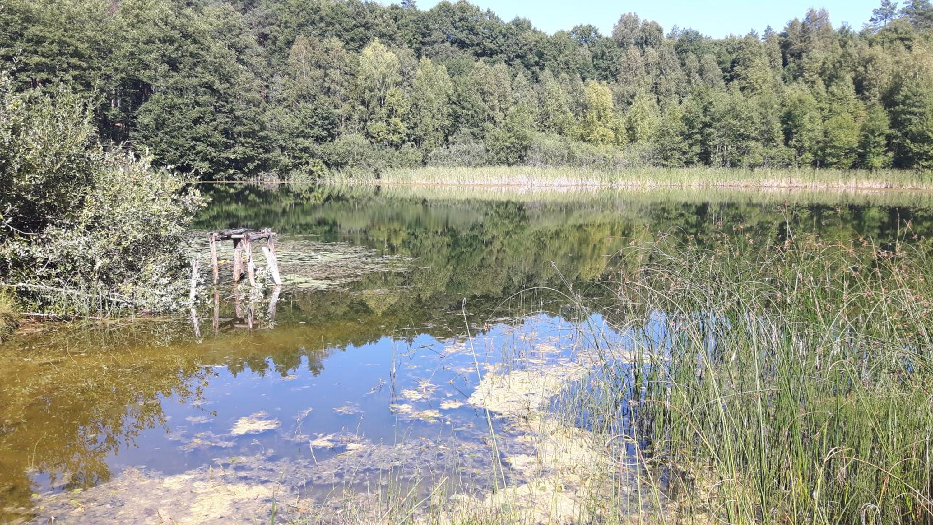 Photo 22