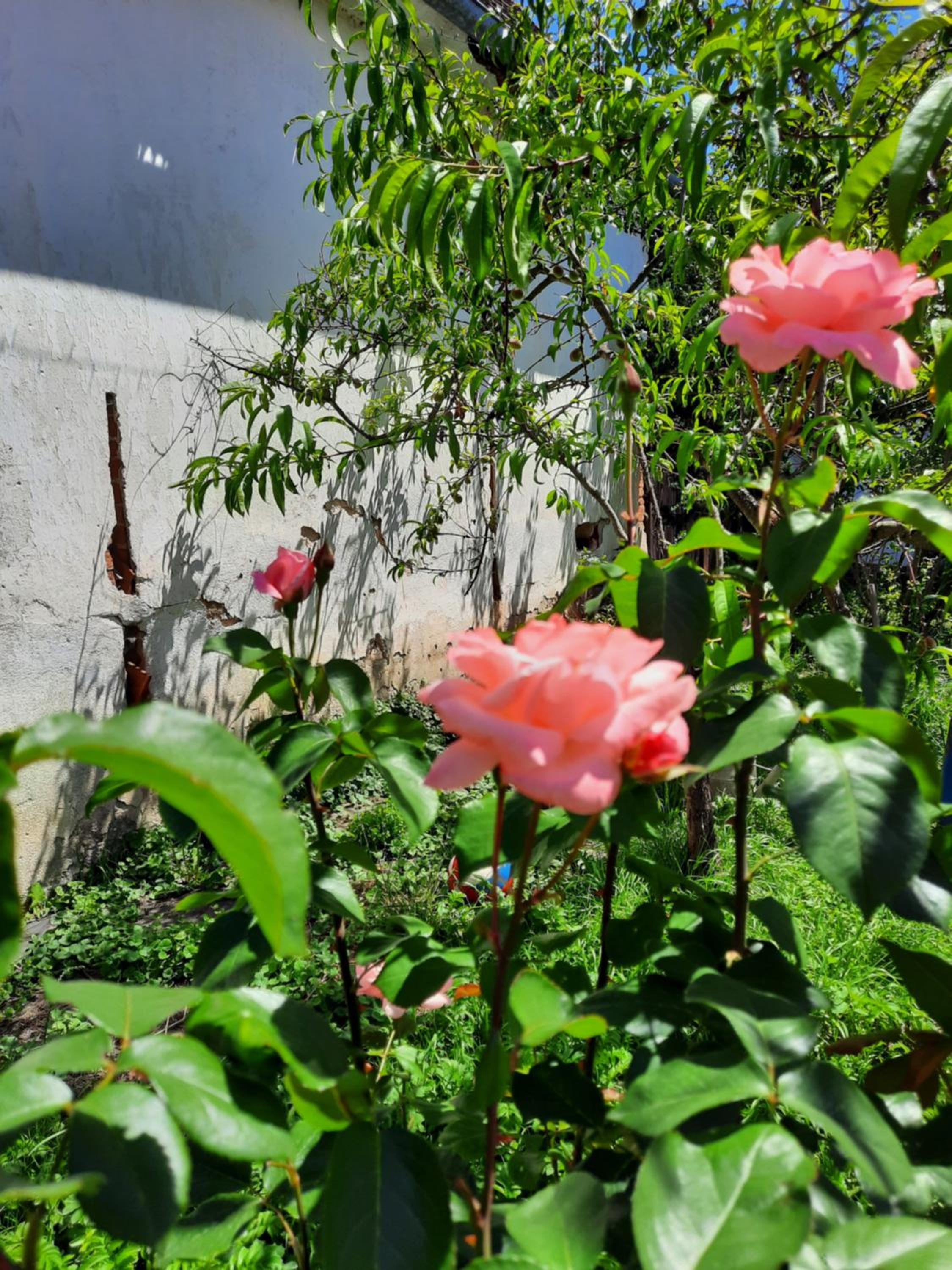Photo 28