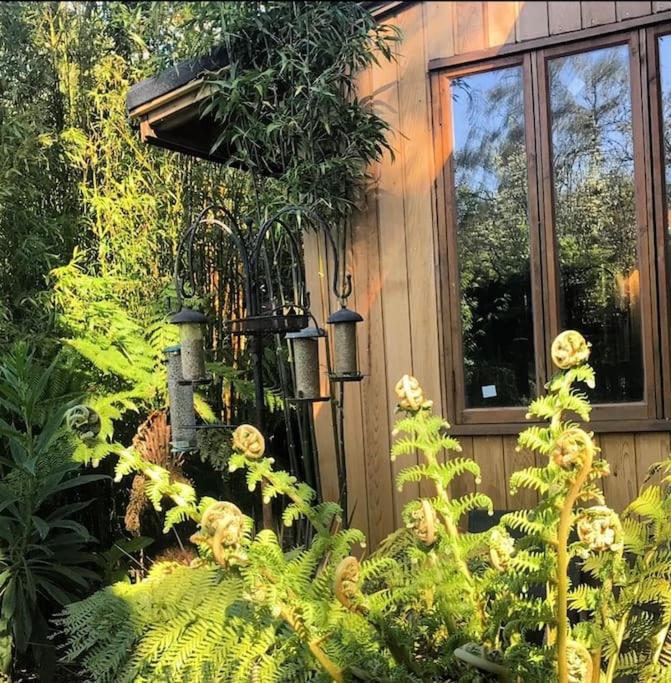 Jungle Cabin view 4