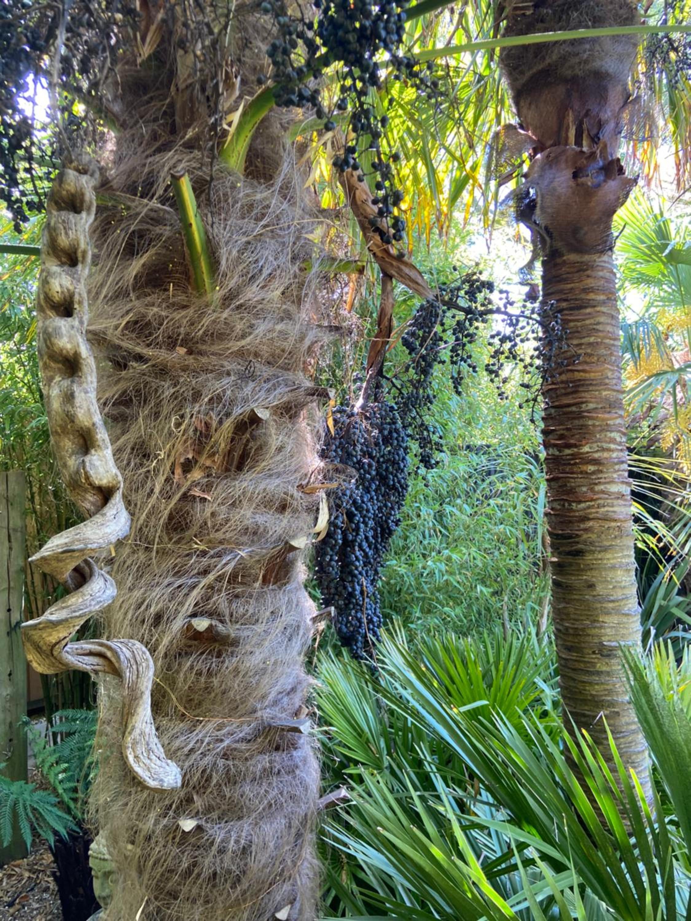 Jungle Cabin view 5