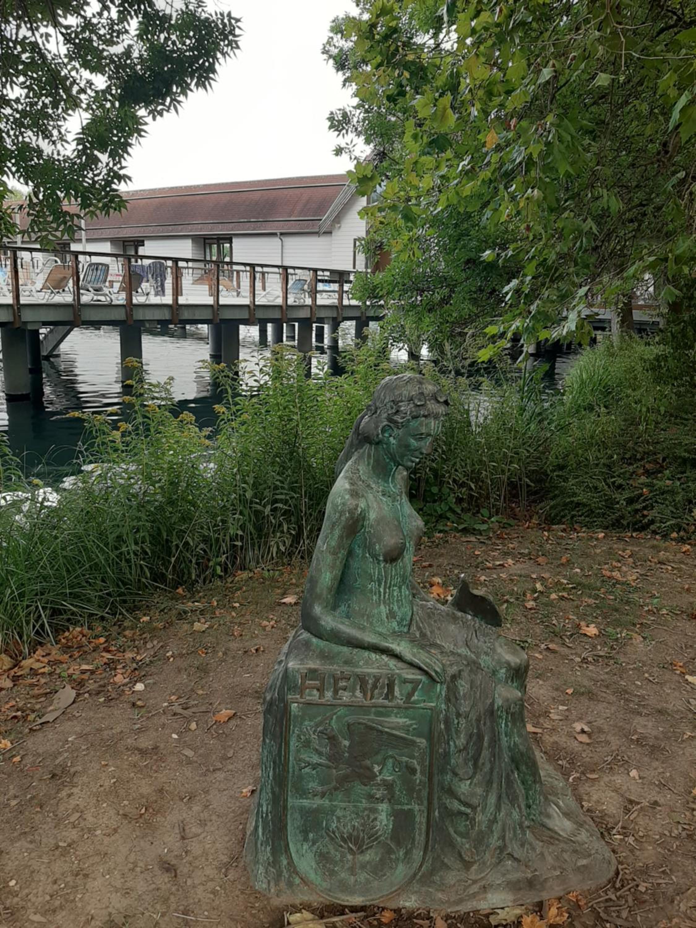 Photo 41