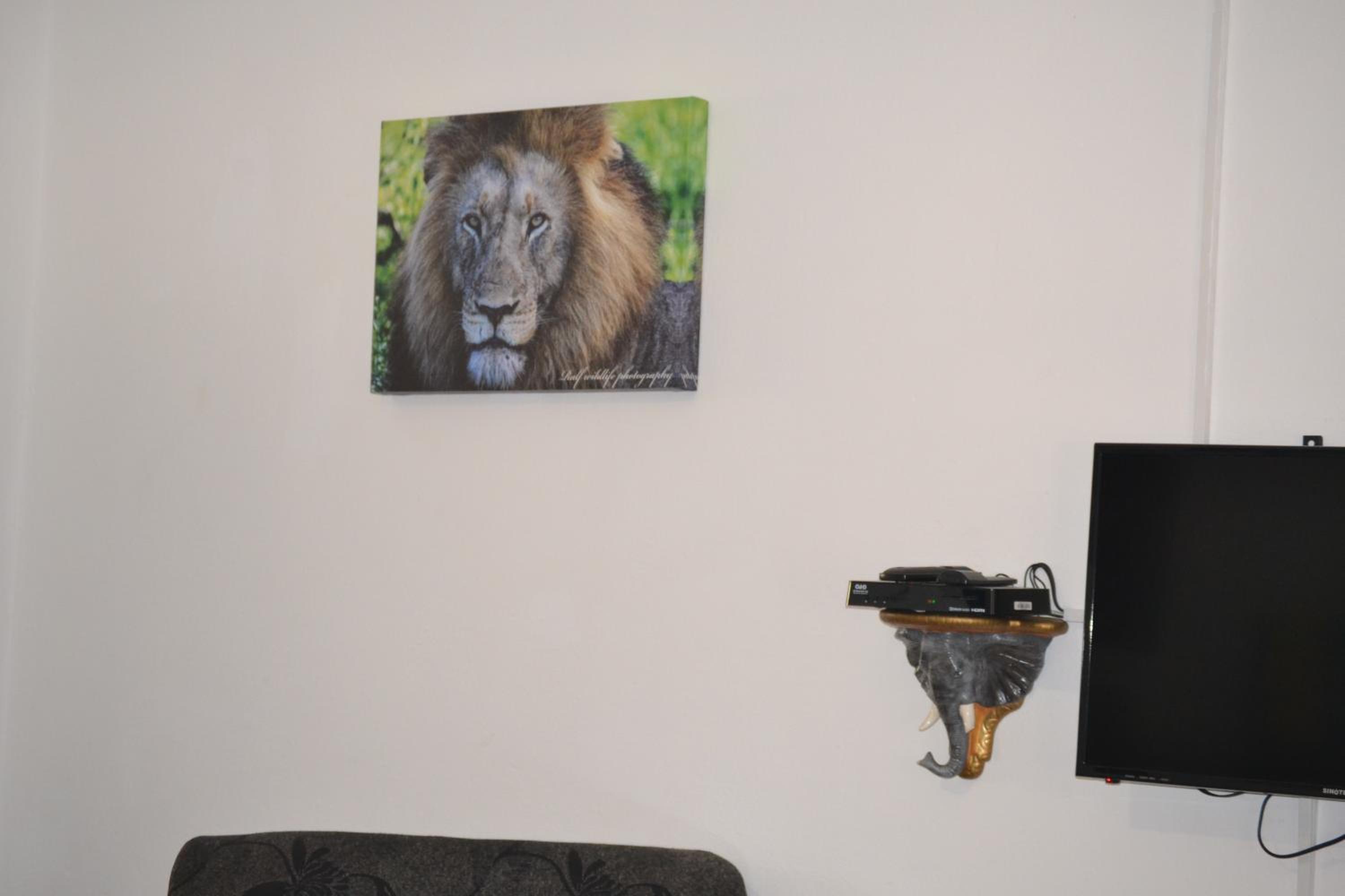 Photo 52