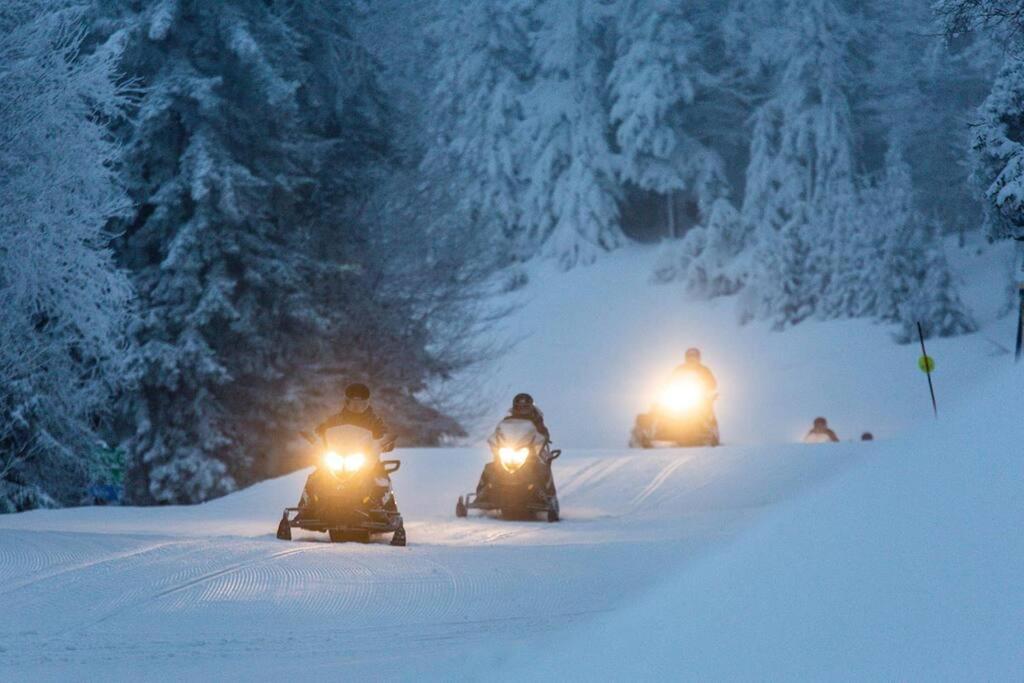 Mountain Lodge getaway, ski-in/ski-out, heart of the village view 4
