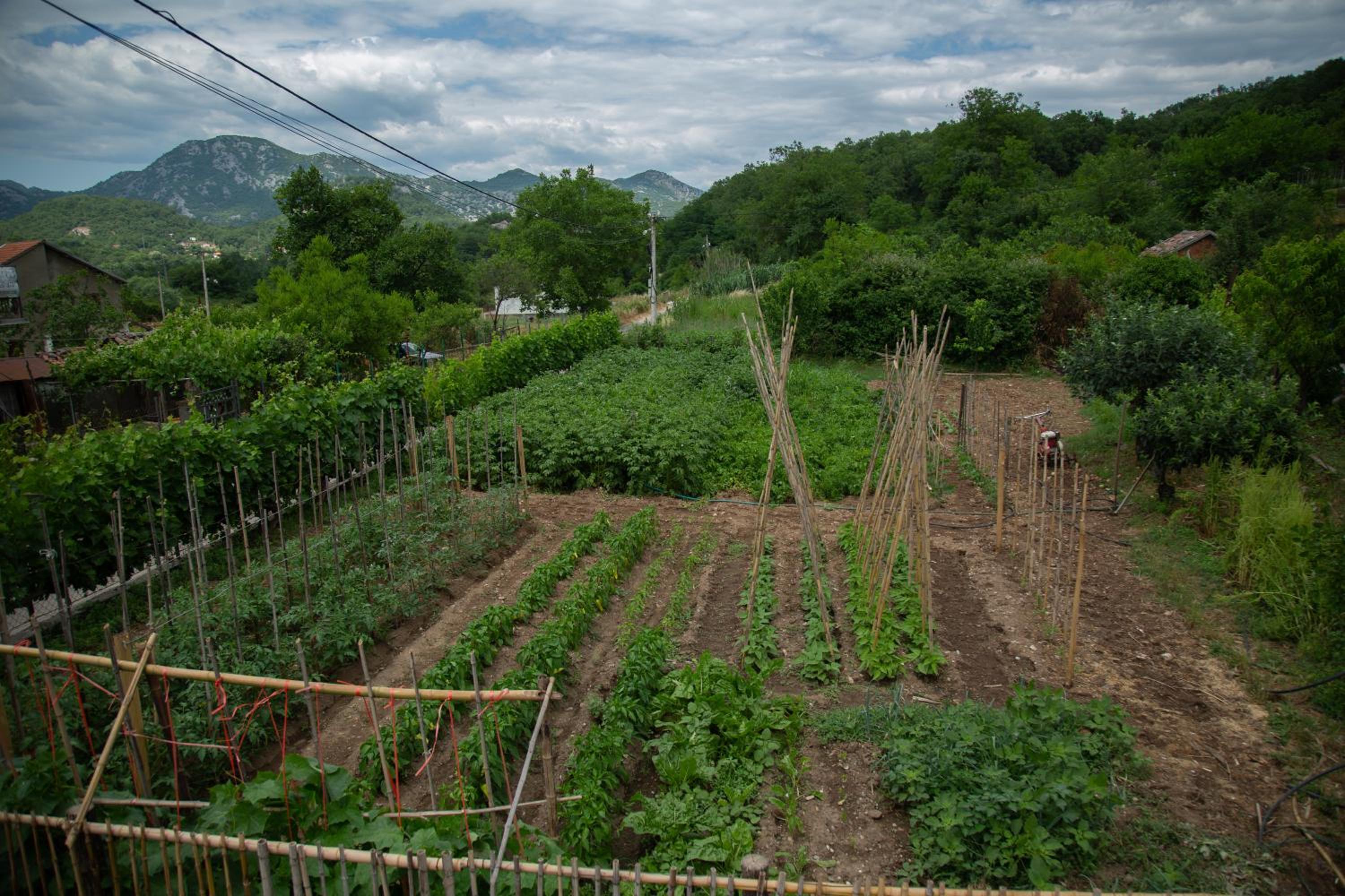 Photo 20