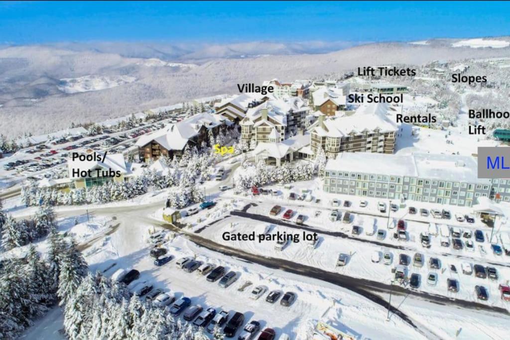Mountain Lodge getaway, ski-in/ski-out, heart of the village view 5