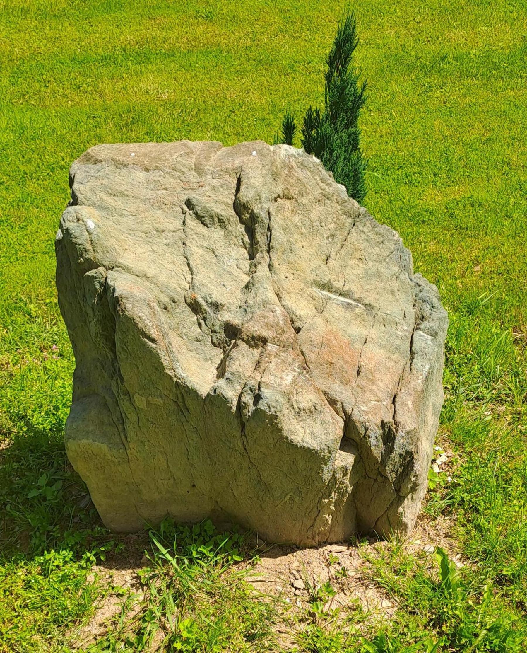 Photo 24