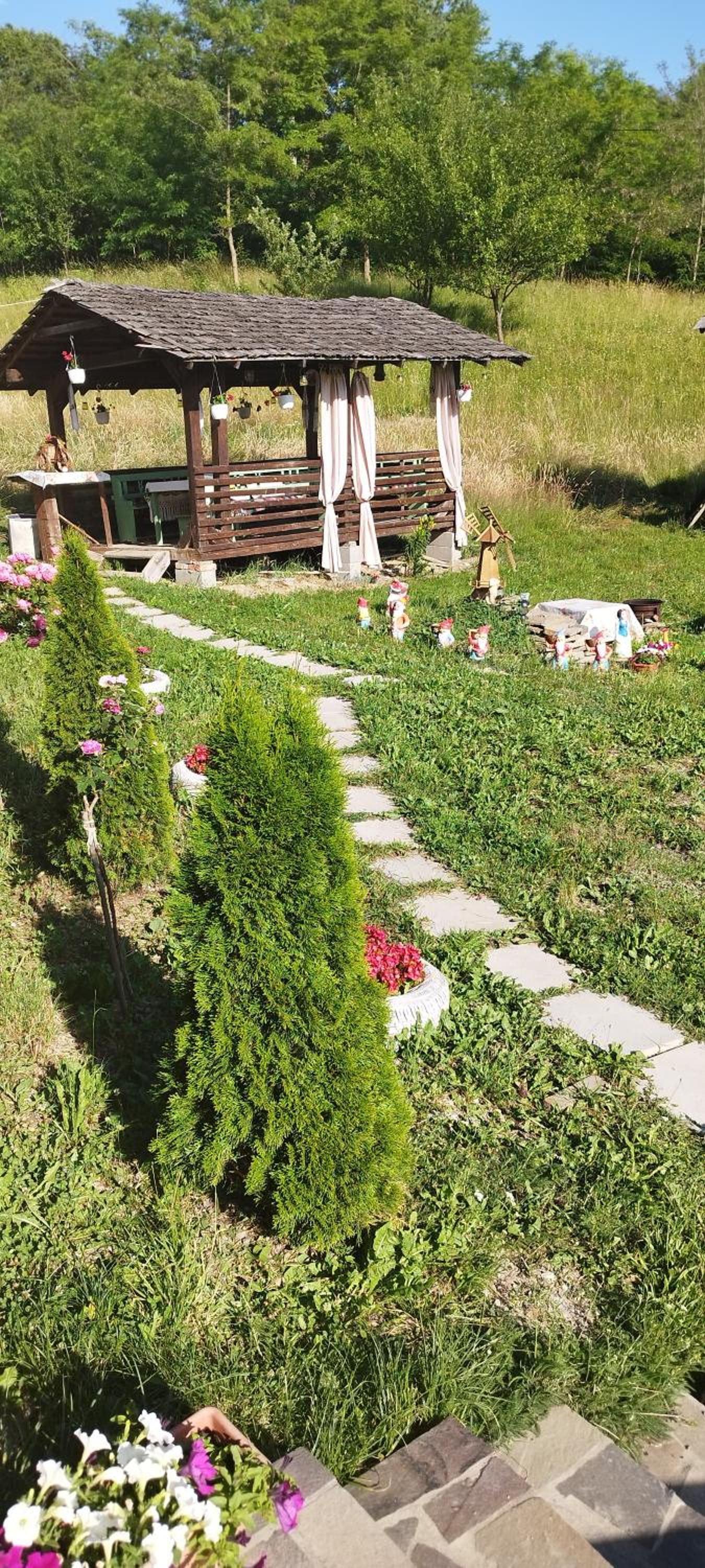 Photo 37