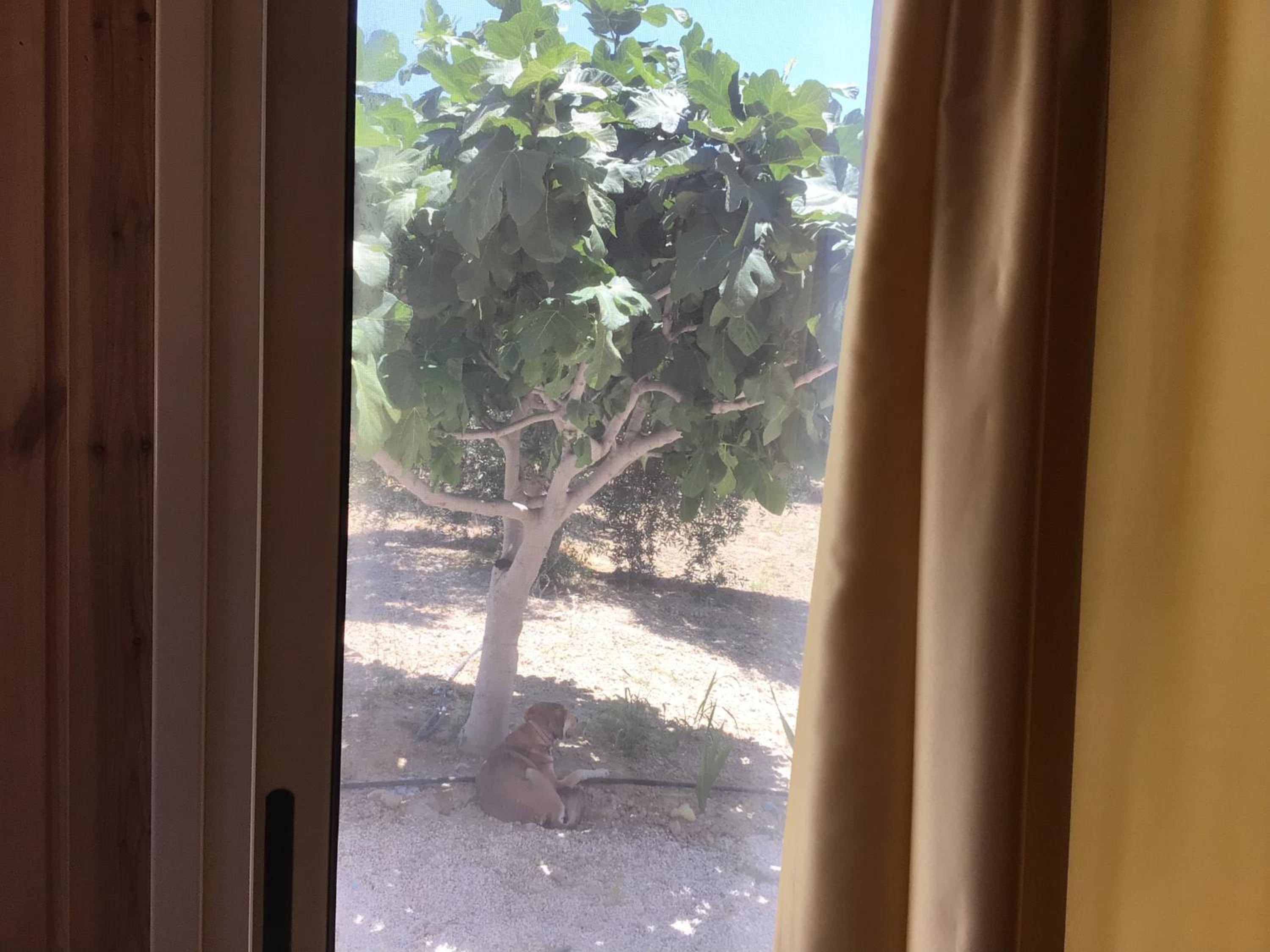 Pervolaris Cottages 2