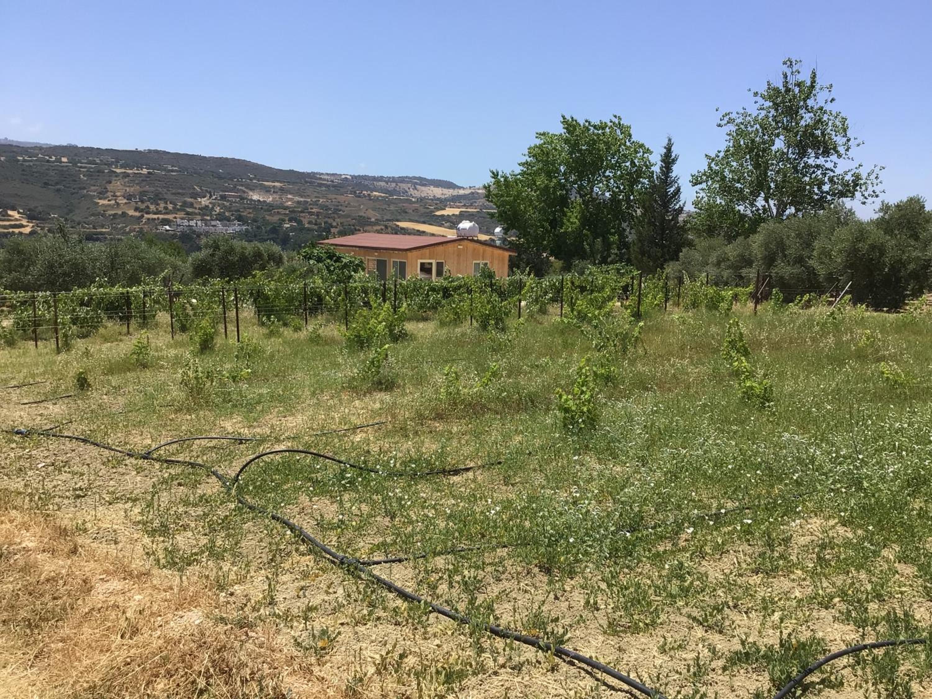 Pervolaris Cottages 2
