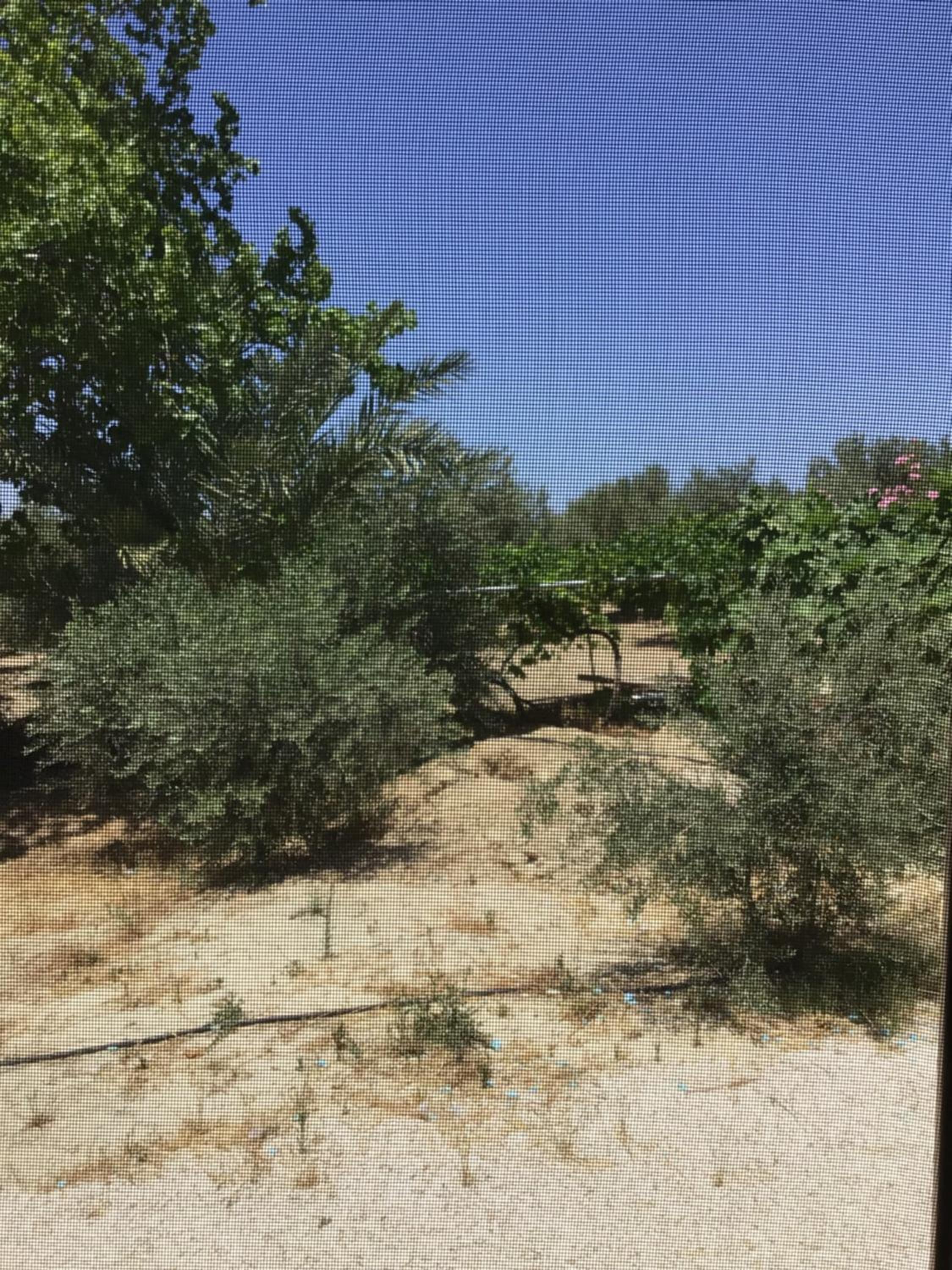 Pervolaris Cottages 2