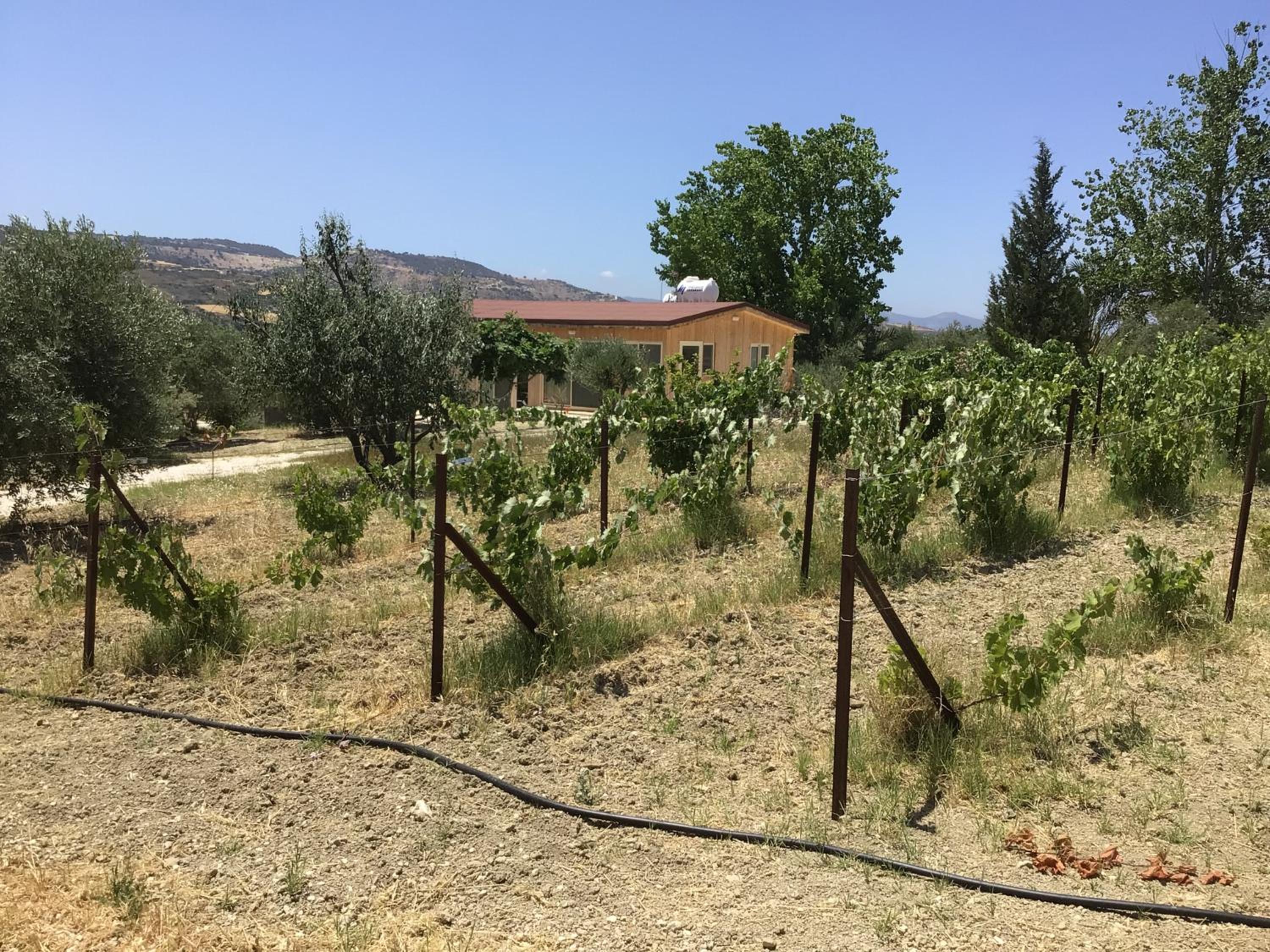 Pervolaris Cottages 2