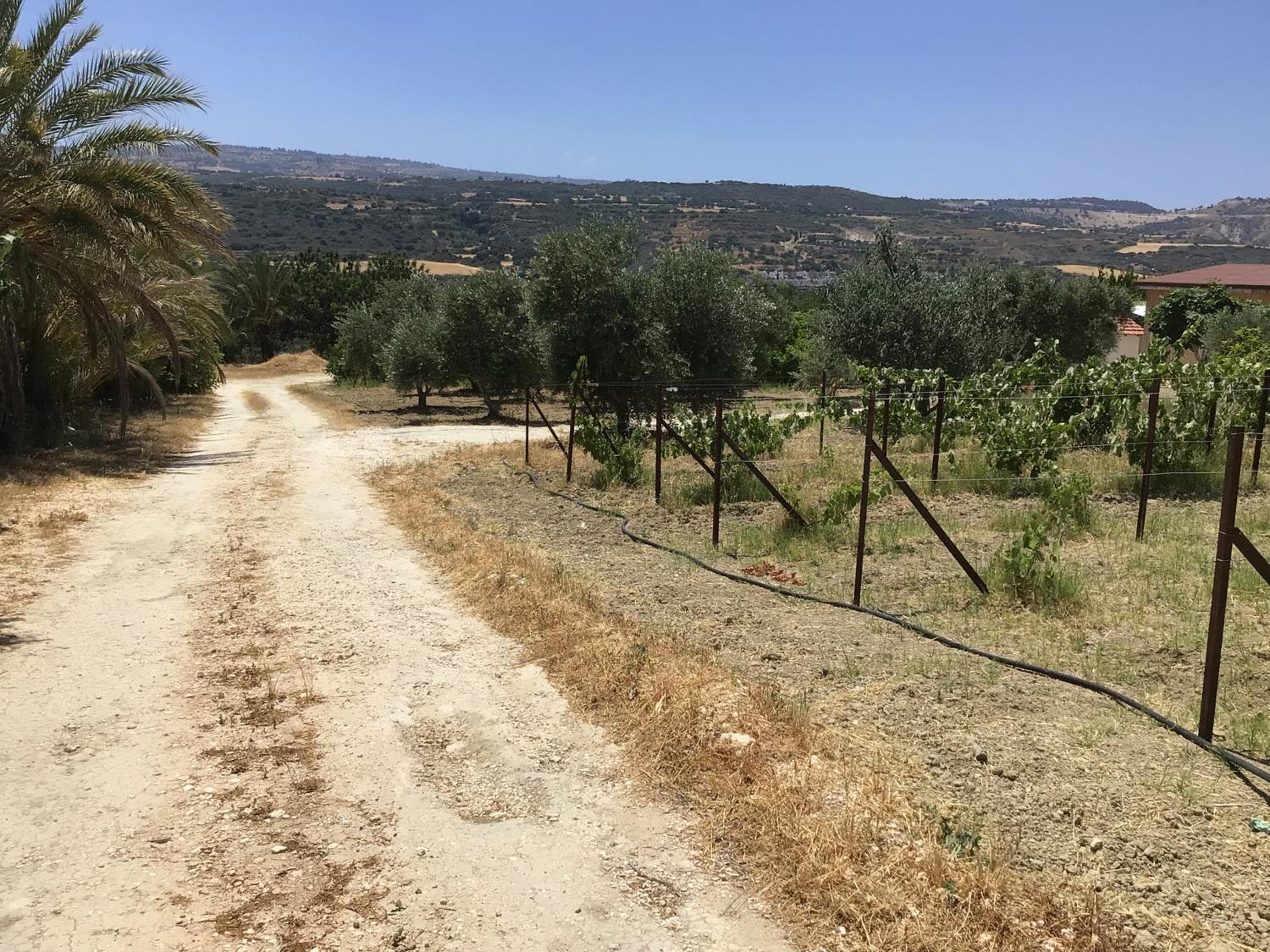 Pervolaris Cottages 2