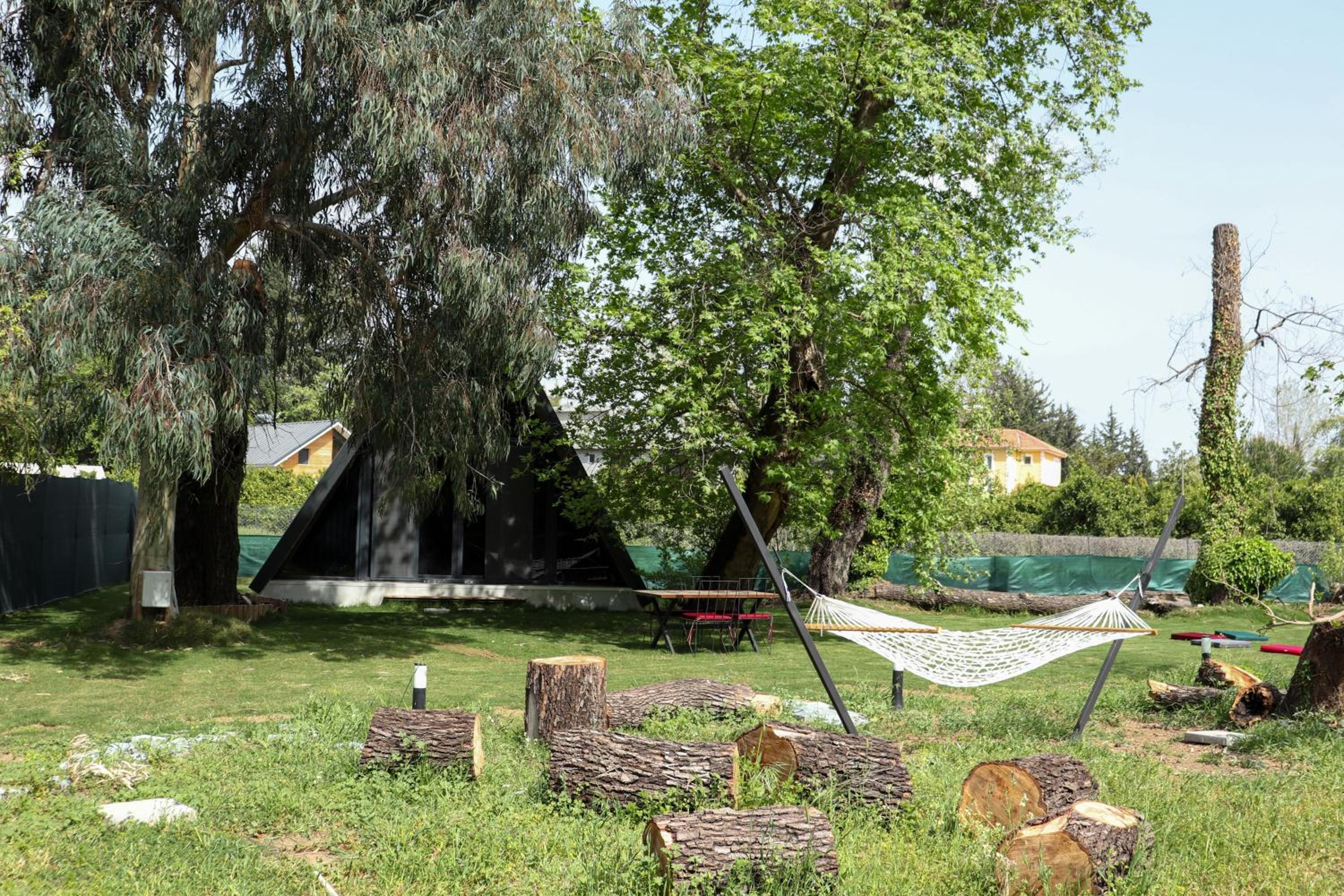 Photo 18