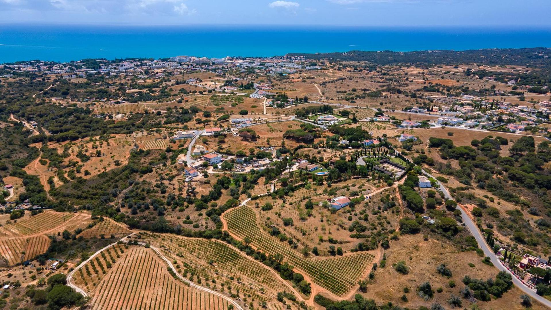 Charming House in a Vineyard Near the Beach view 4