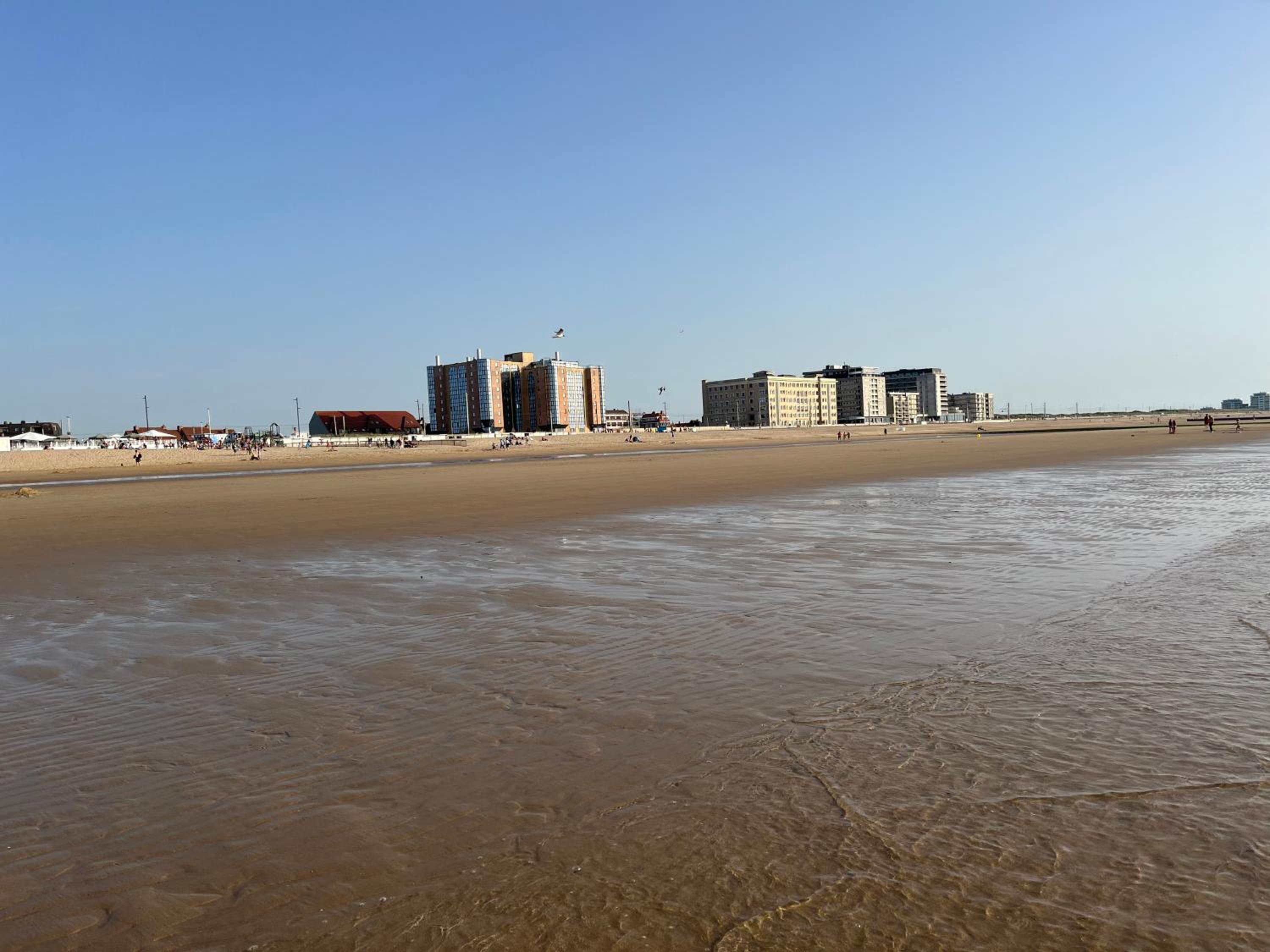 Frontaal zeezicht in appartement de Strandjutter view 3