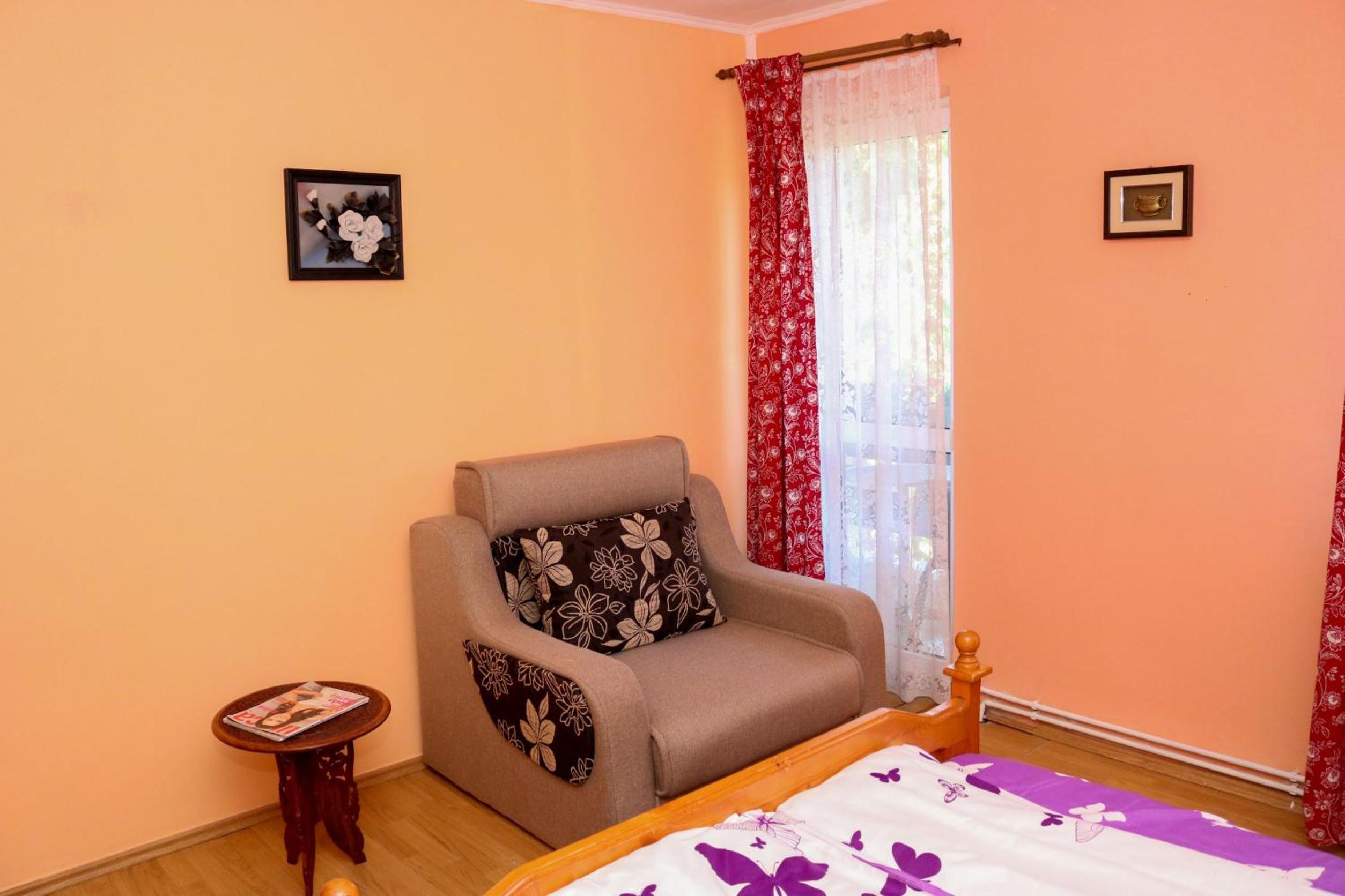 Apartament Iulia view 3