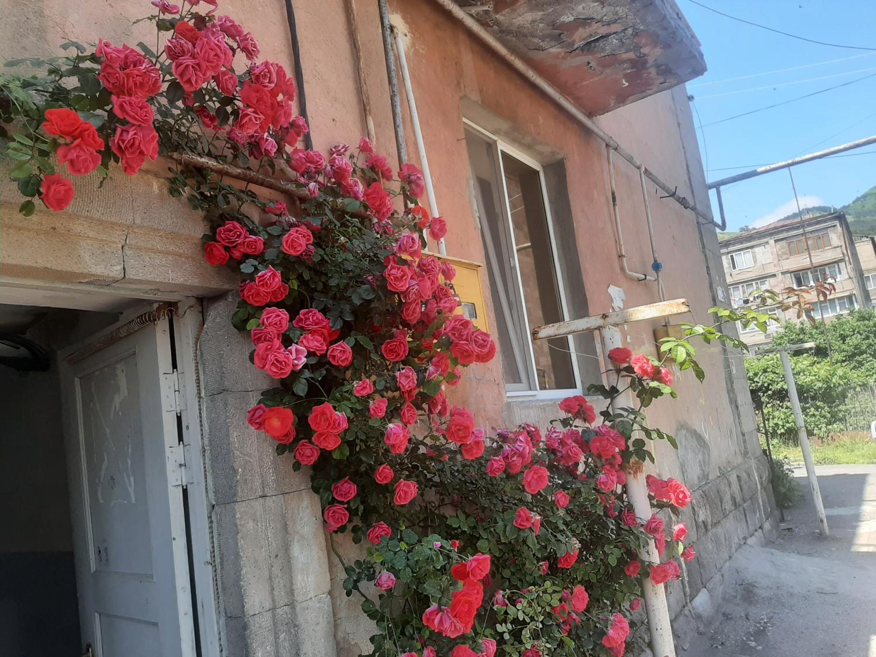 Aregak B&B and Tours