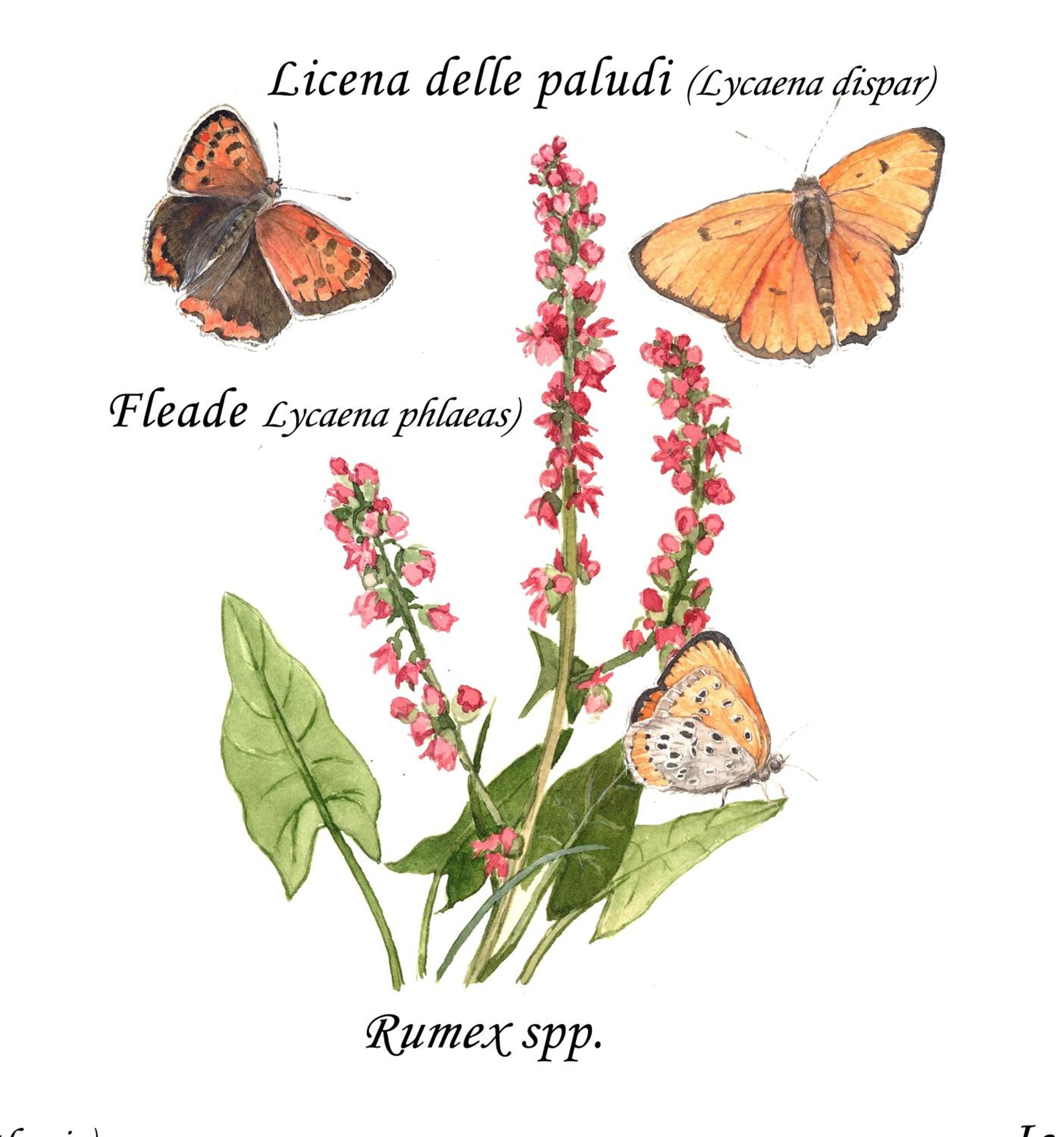 CASCINA LAI - Oasi Naturalistica - Camere private view 2
