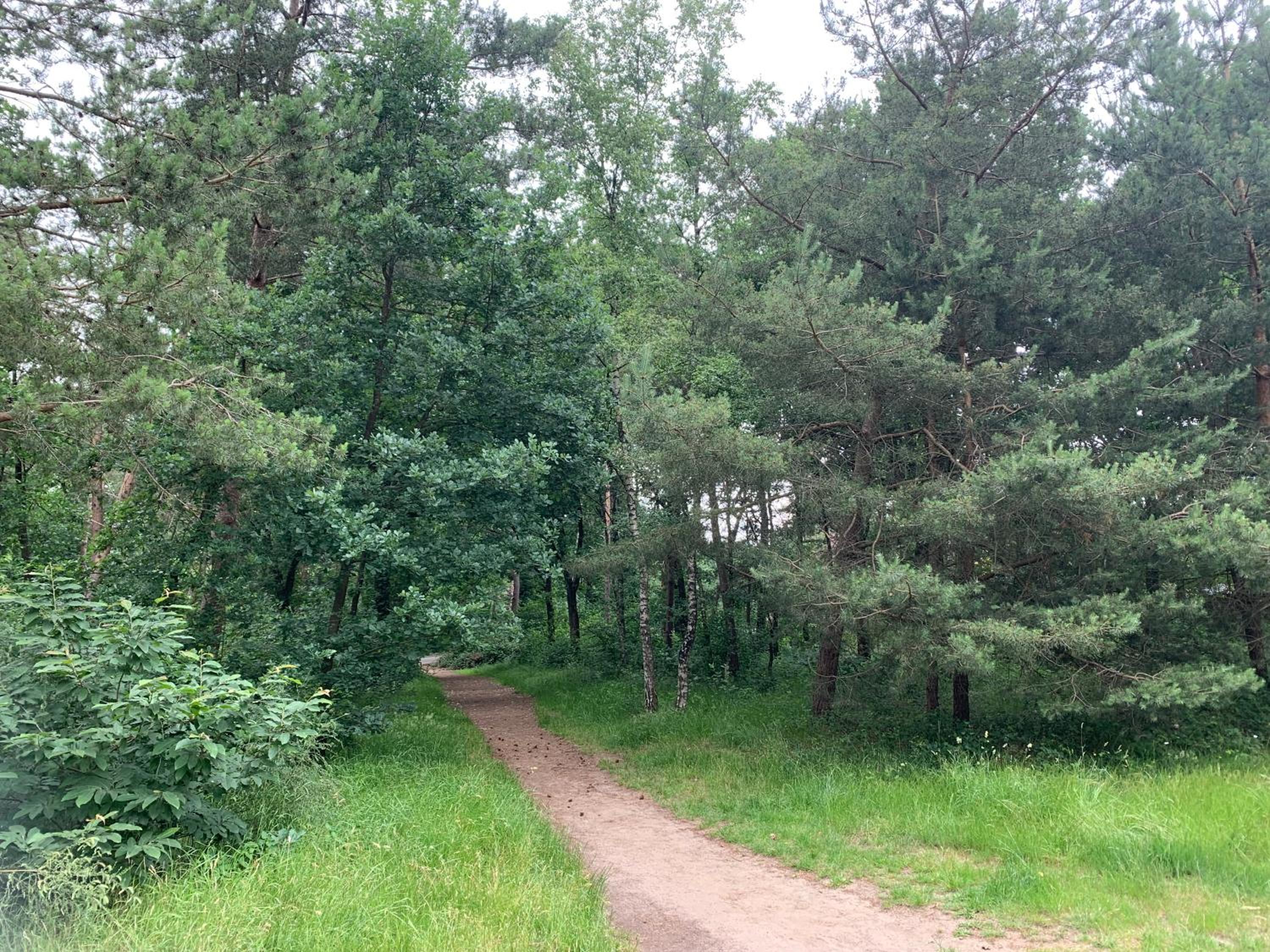 Photo 20