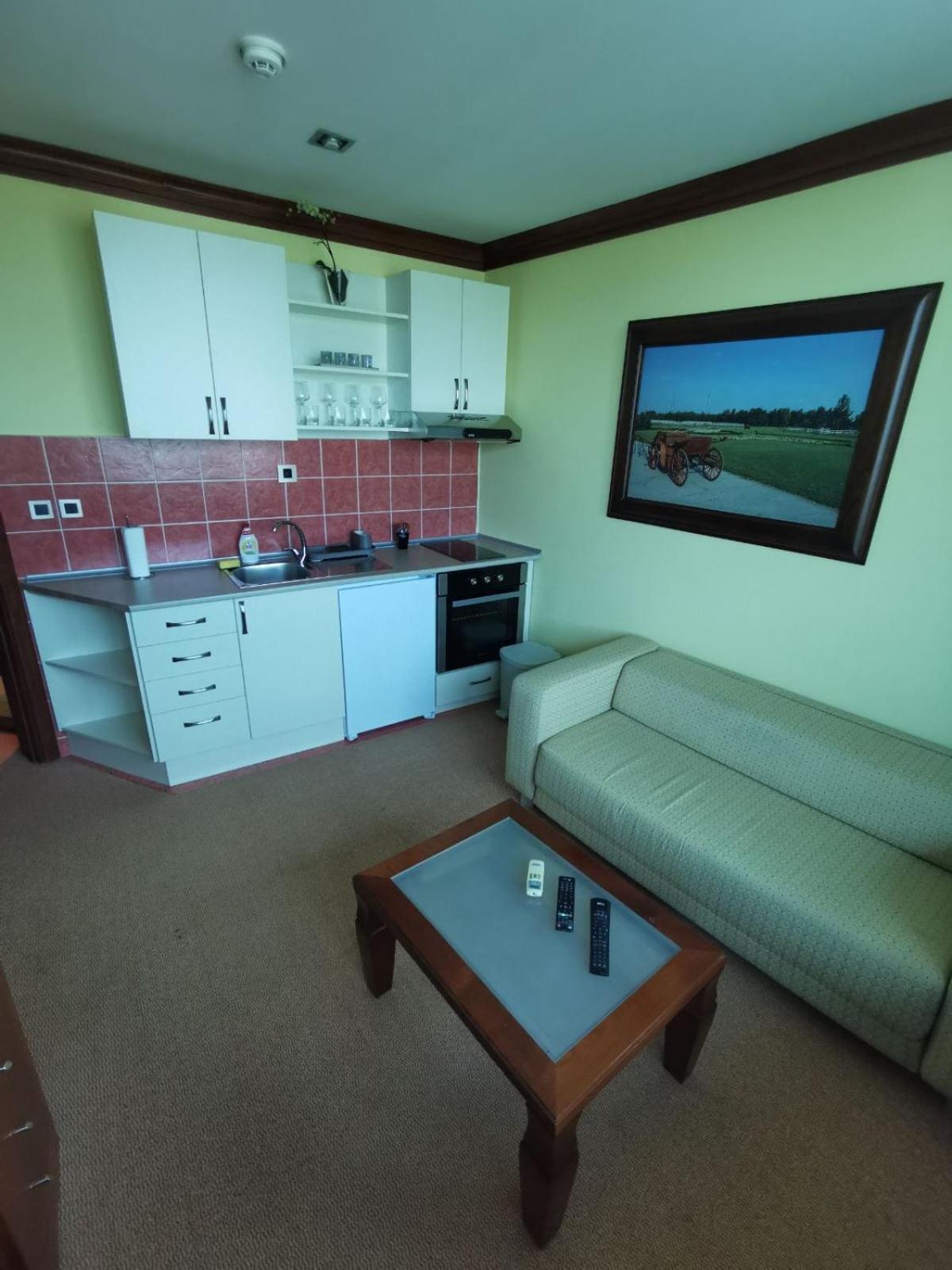 Princ Apartman view 4