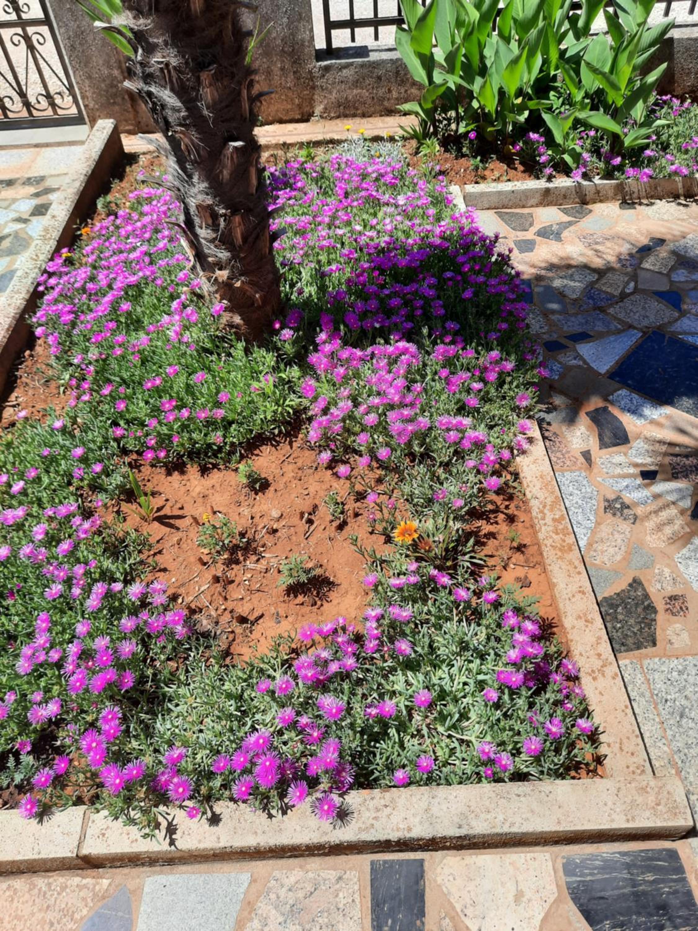 Apartments Marinela - Property Image 5