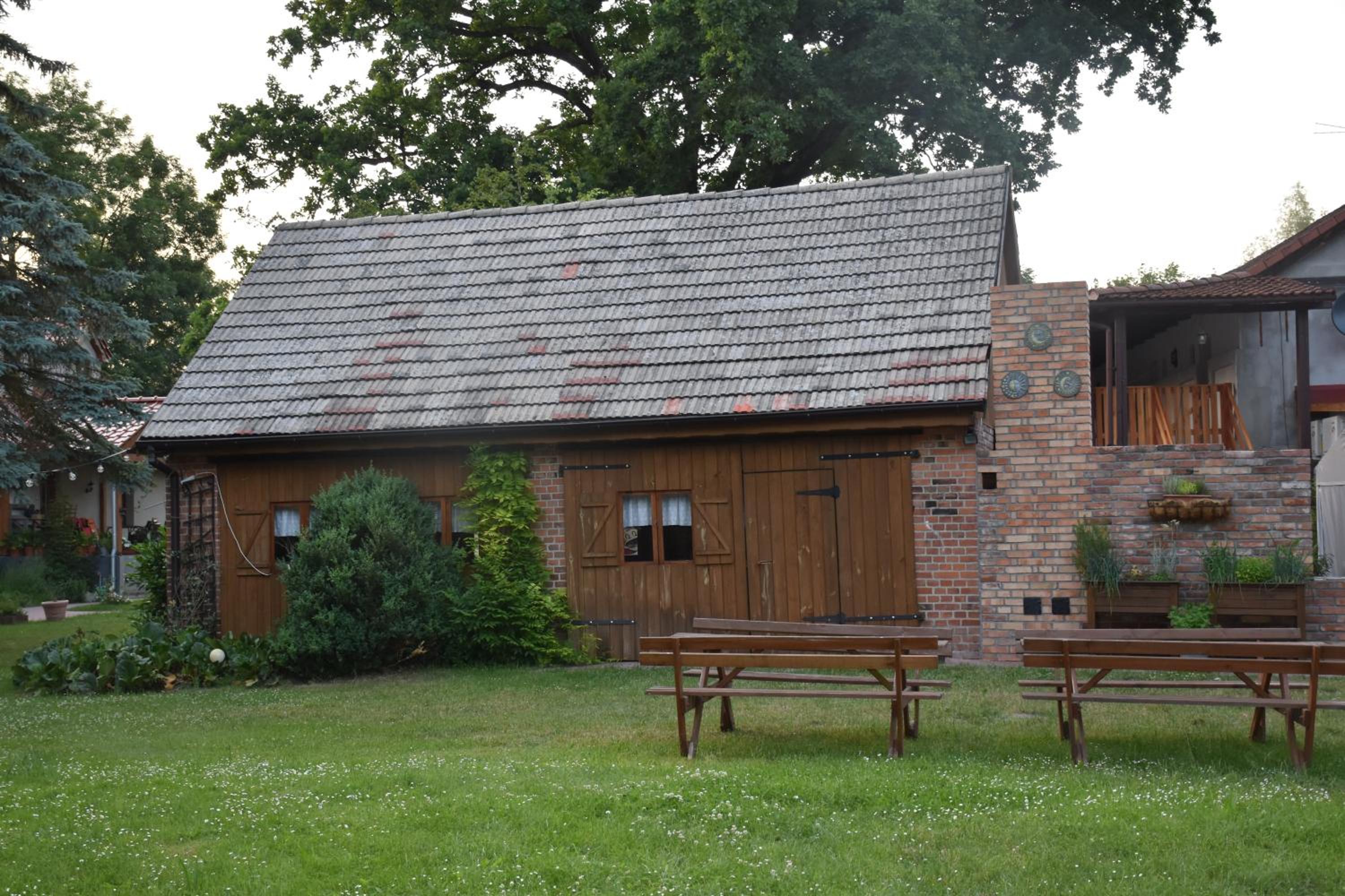 Photo 17