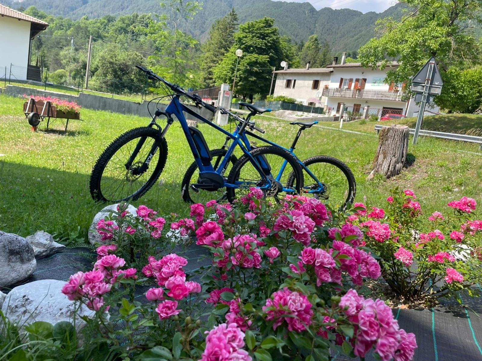 B&B Stari Mlin - Vecchio Mulino view 5