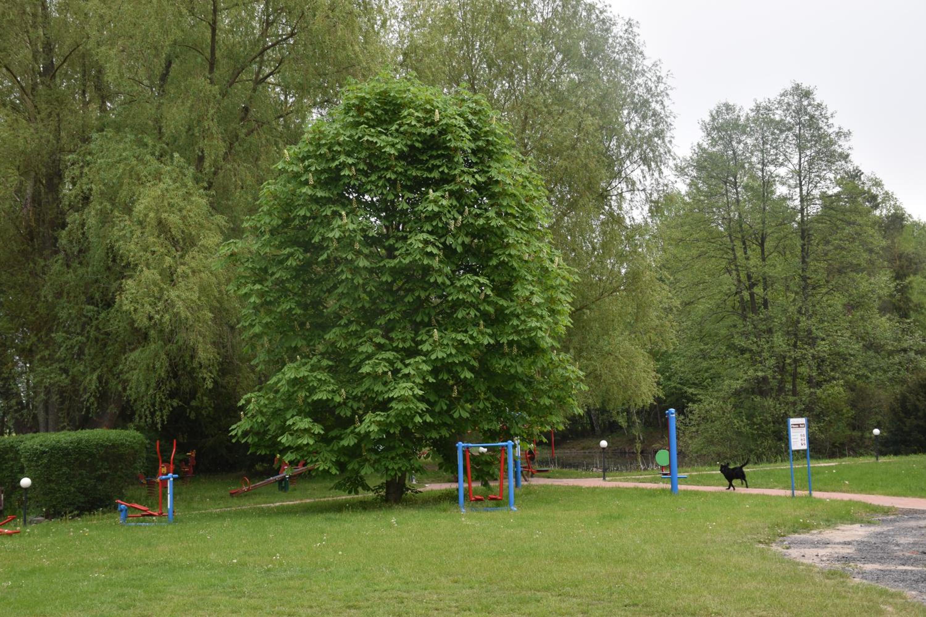 Photo 22