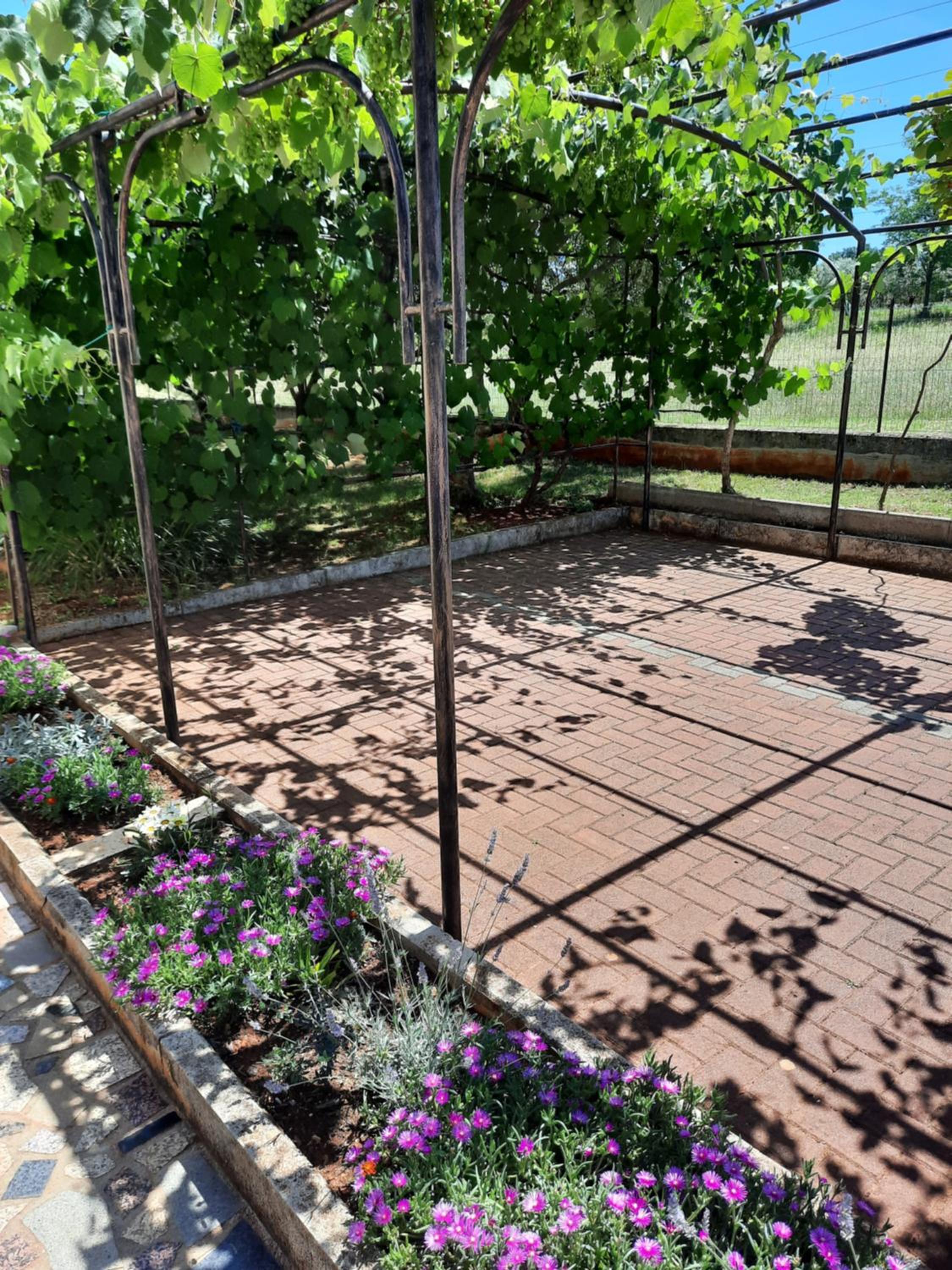 Apartments Marinela - Property Image 7