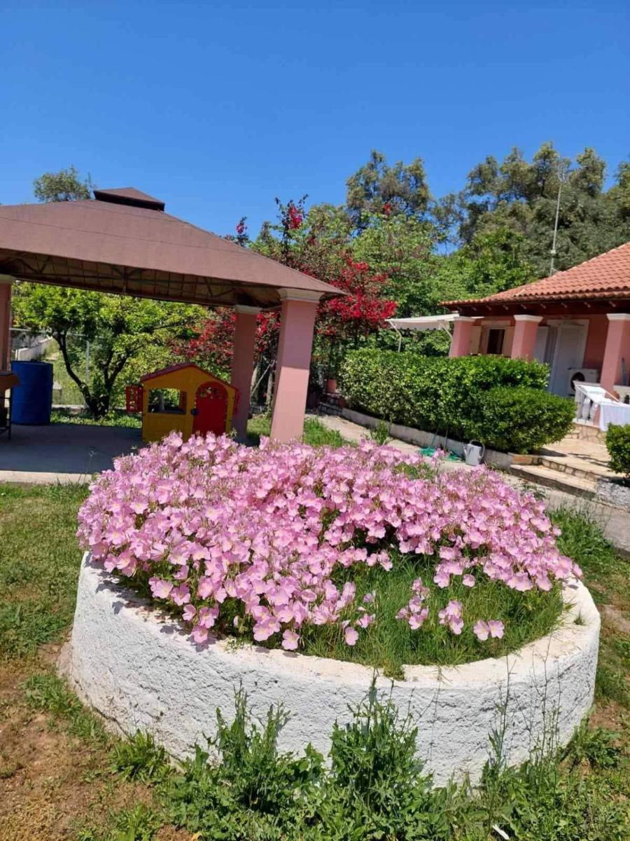 FAMILY SWEET HOME IOANNA view 3