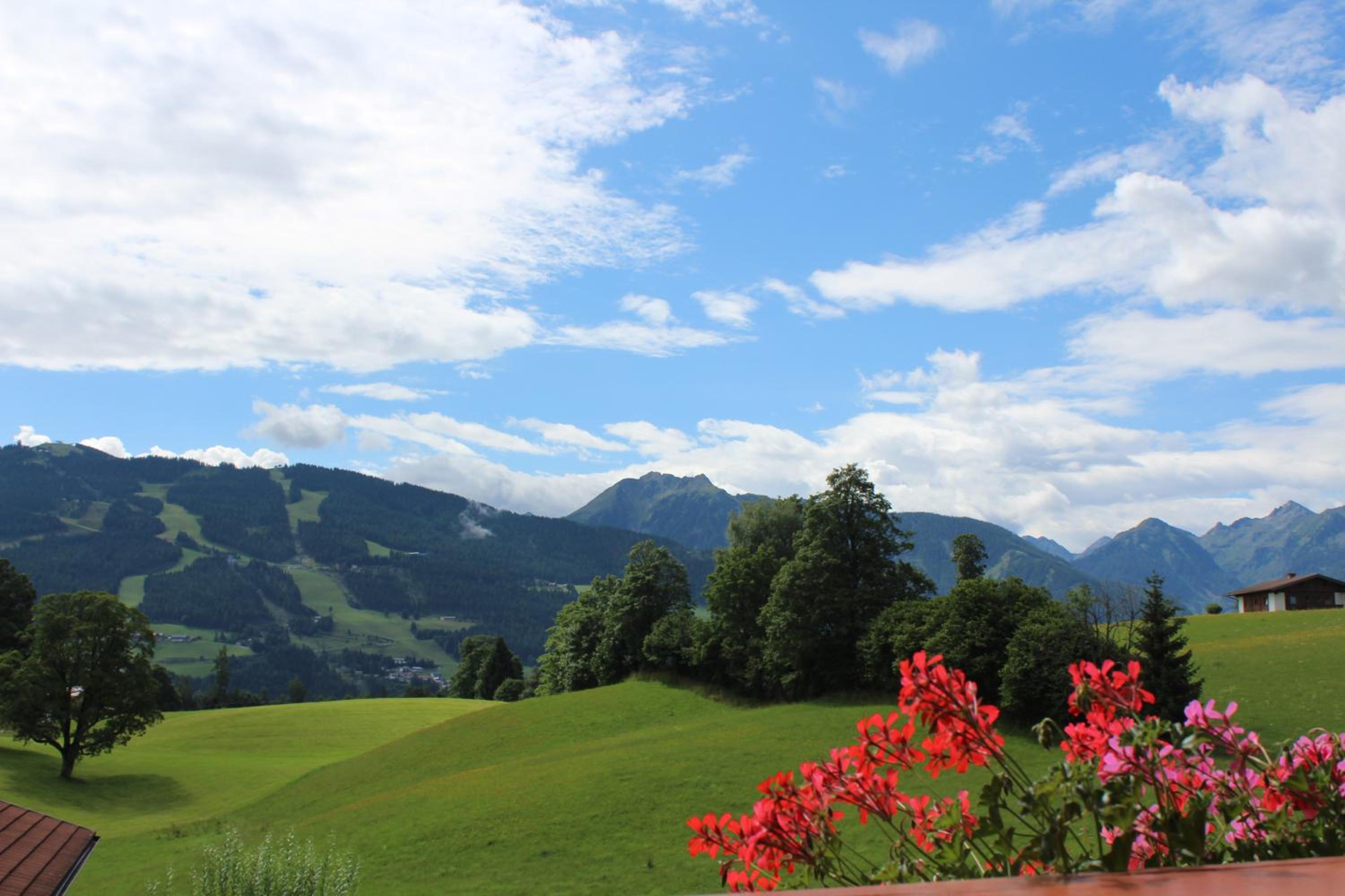 Mountain-View