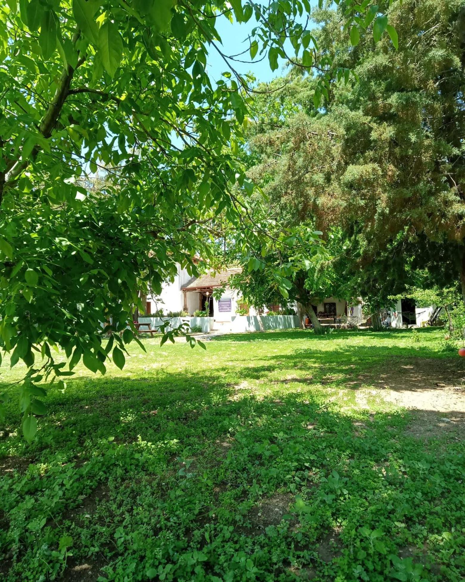Koca Kapı Konaklama view 5