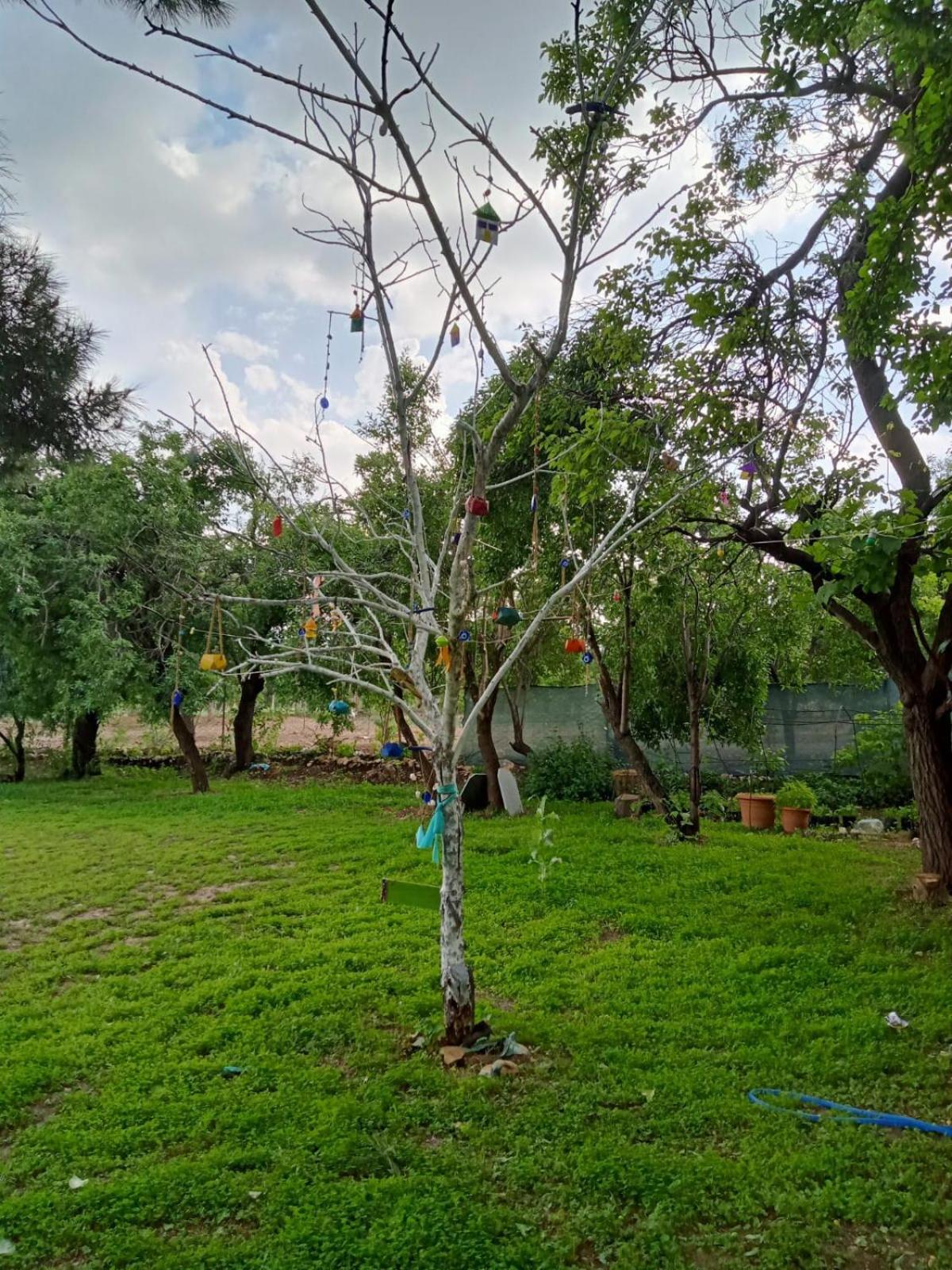 Koca Kapı Konaklama view 3