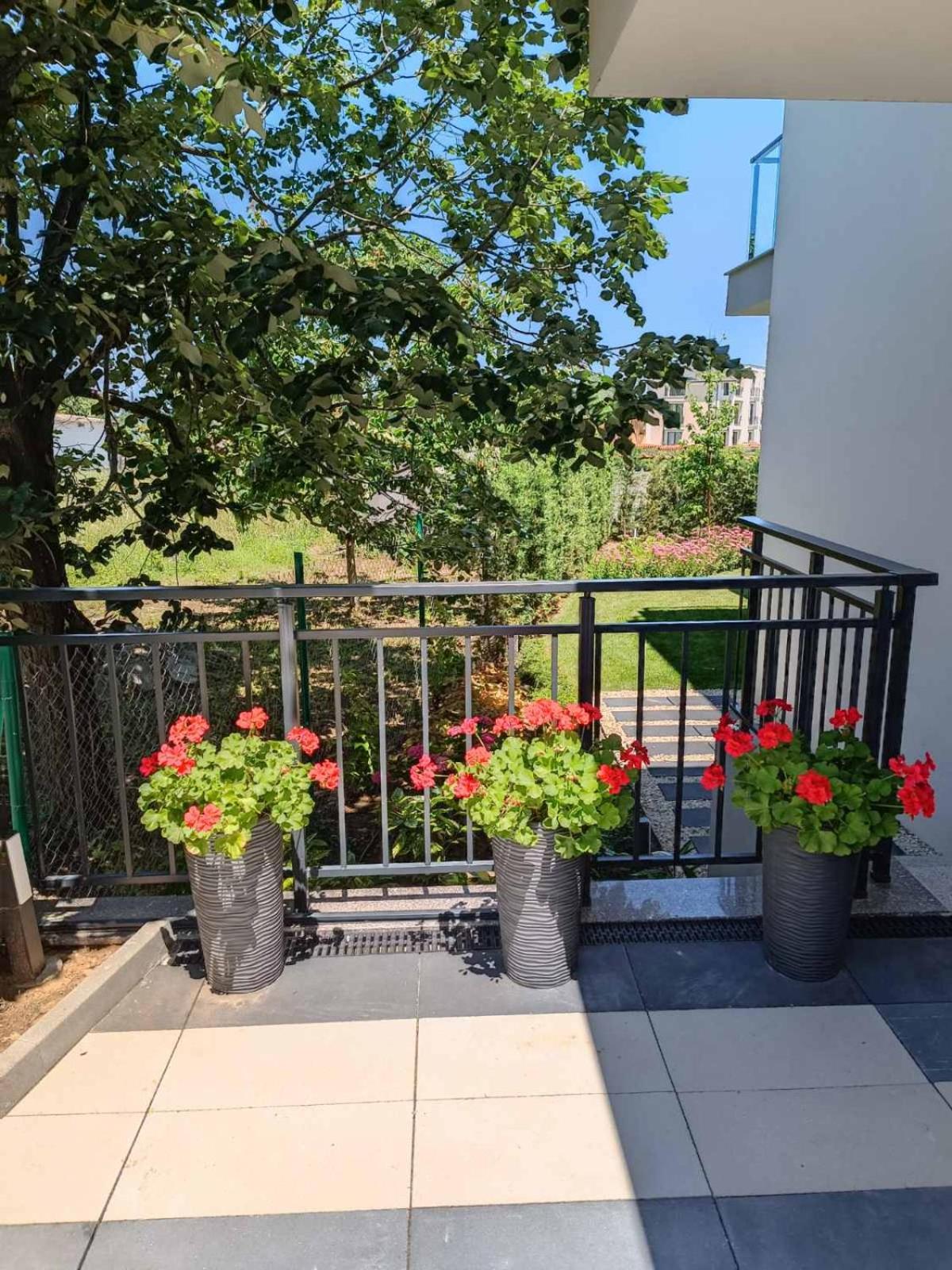 Apartament Kali view 5