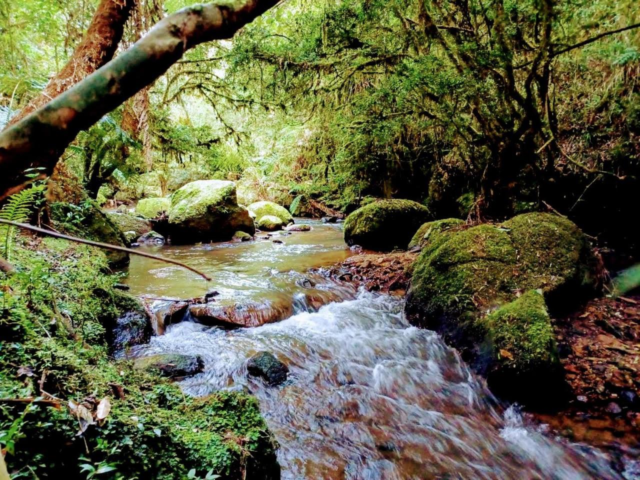 Sopro da Serra Chalés