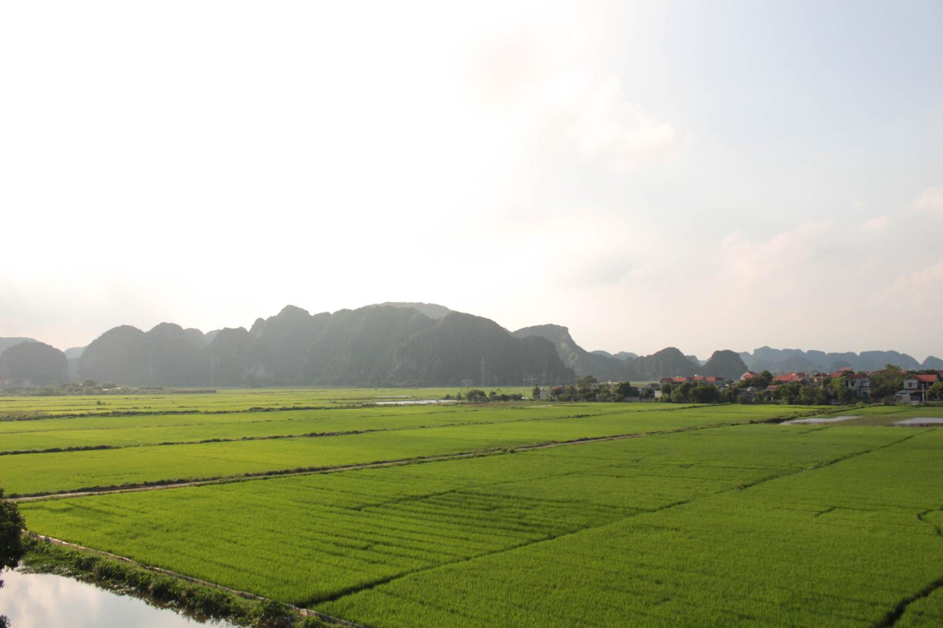 Photo 40